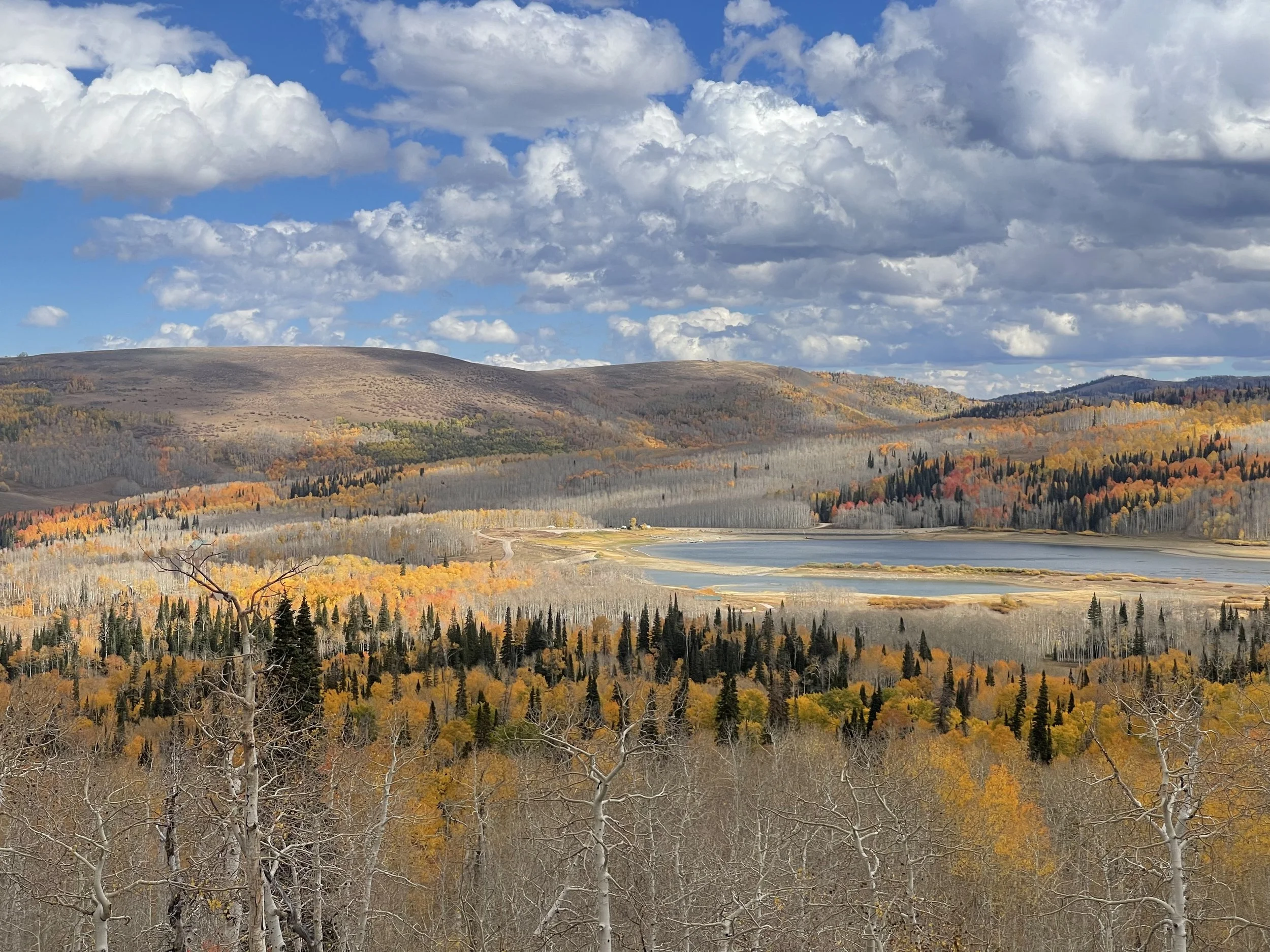 Best New Home Communities in Manti, Utah