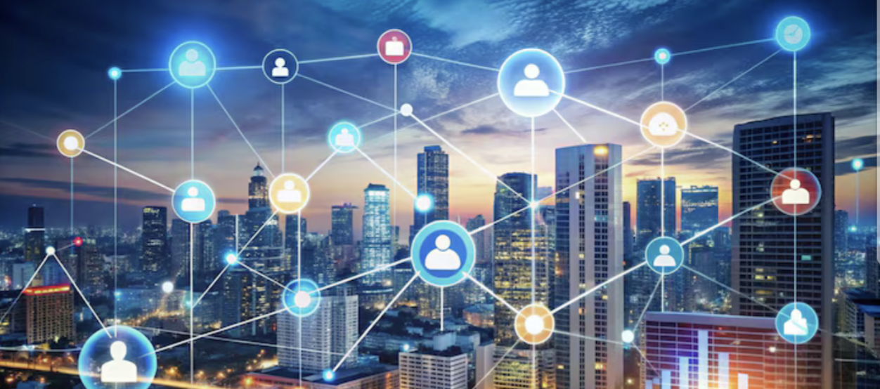 Digital Literacy & Career Networking