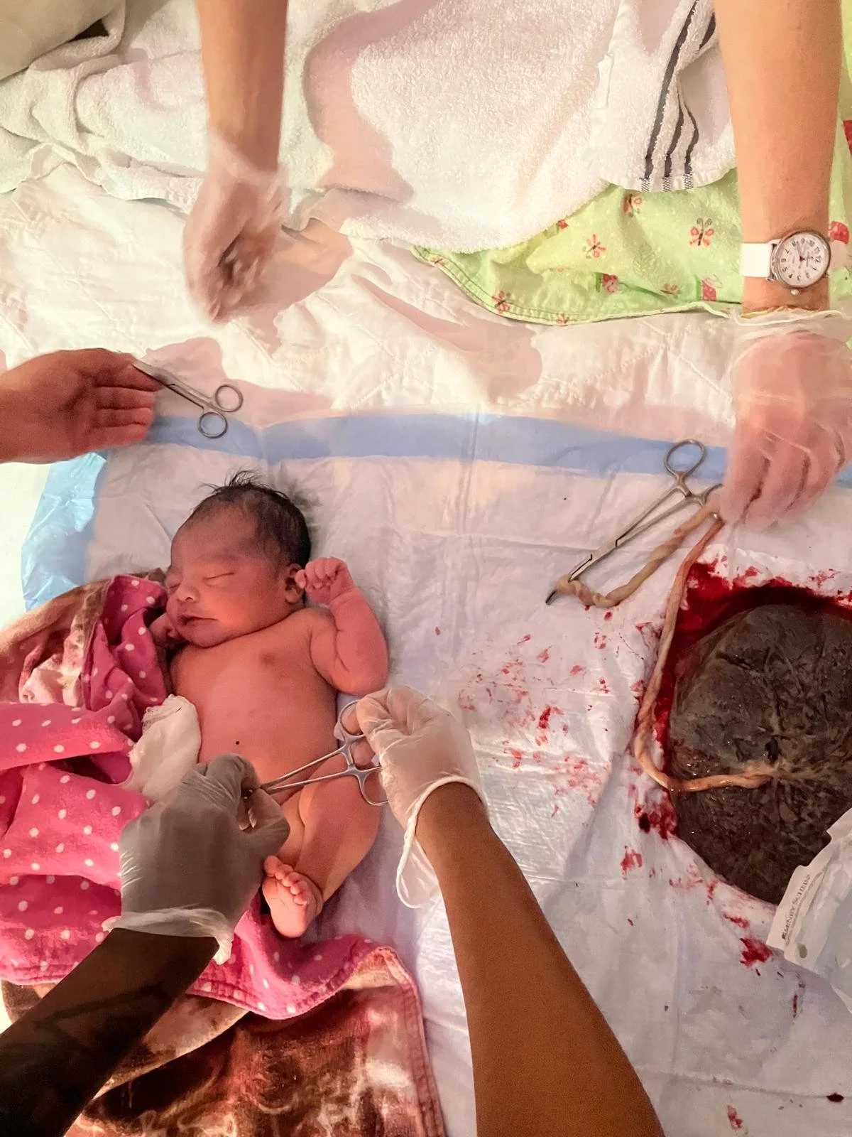 Gwo Fanmi (Great Family) — Standard Tier