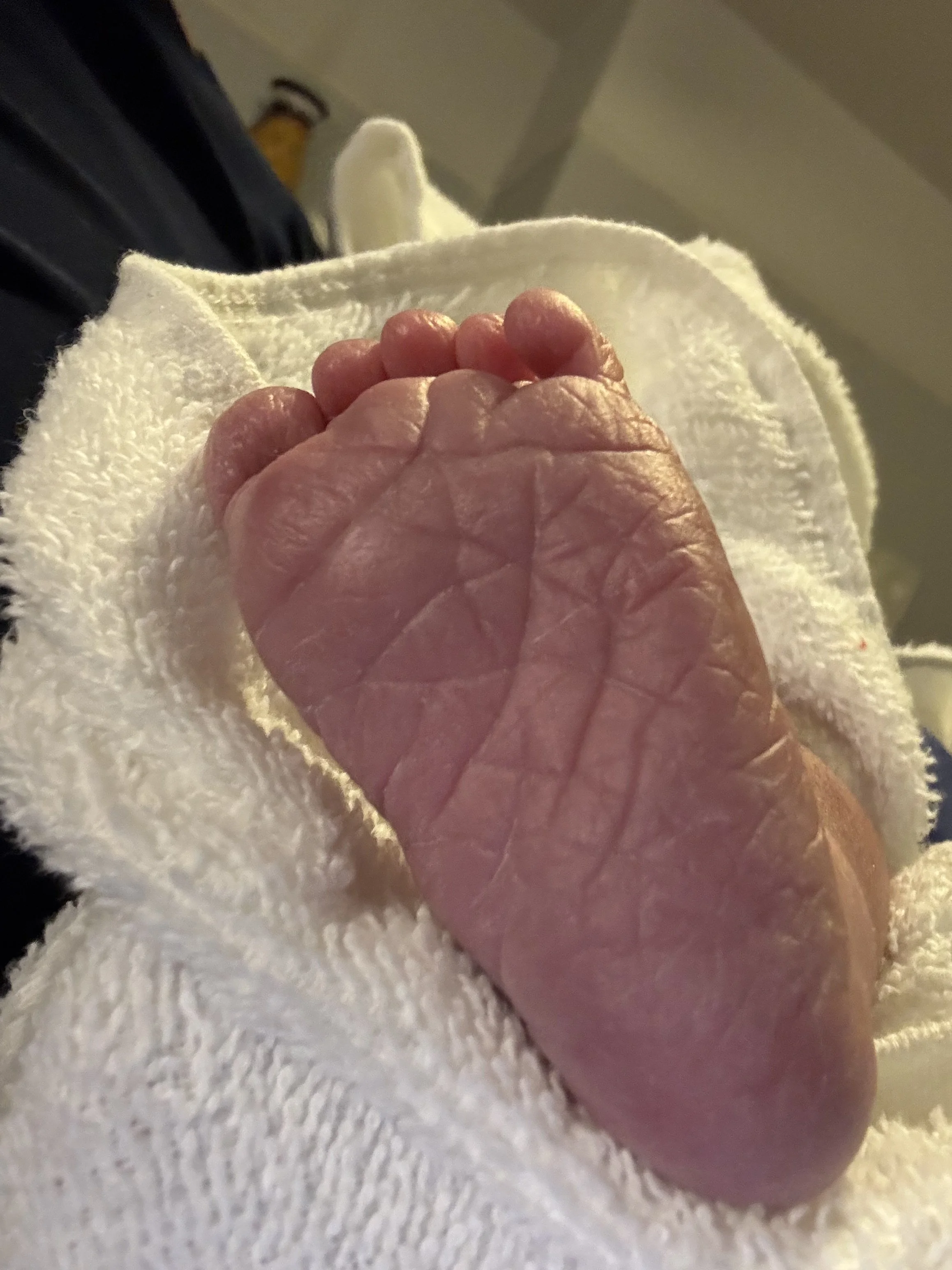 Close-up of a newborn baby's foot wrapped in a white towel.