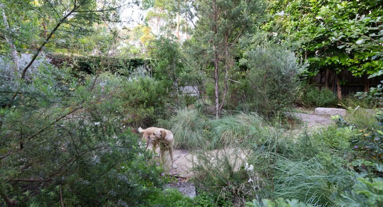 What do we want gardens to sound like? (The Guardian)