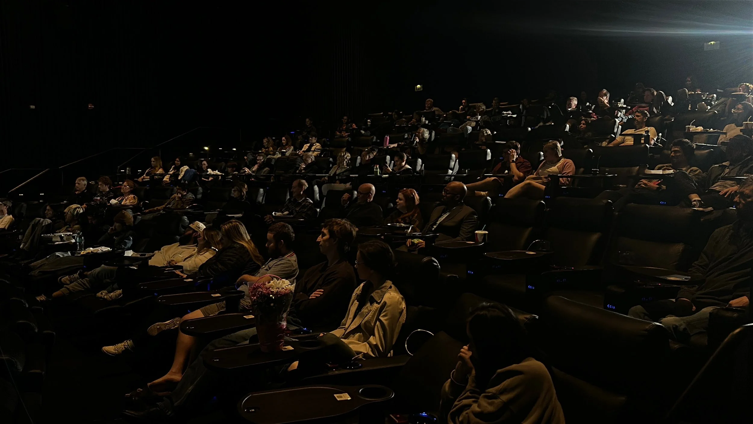 "It's What's Inside" Screening Audience.
Client: Antigravity Academy
