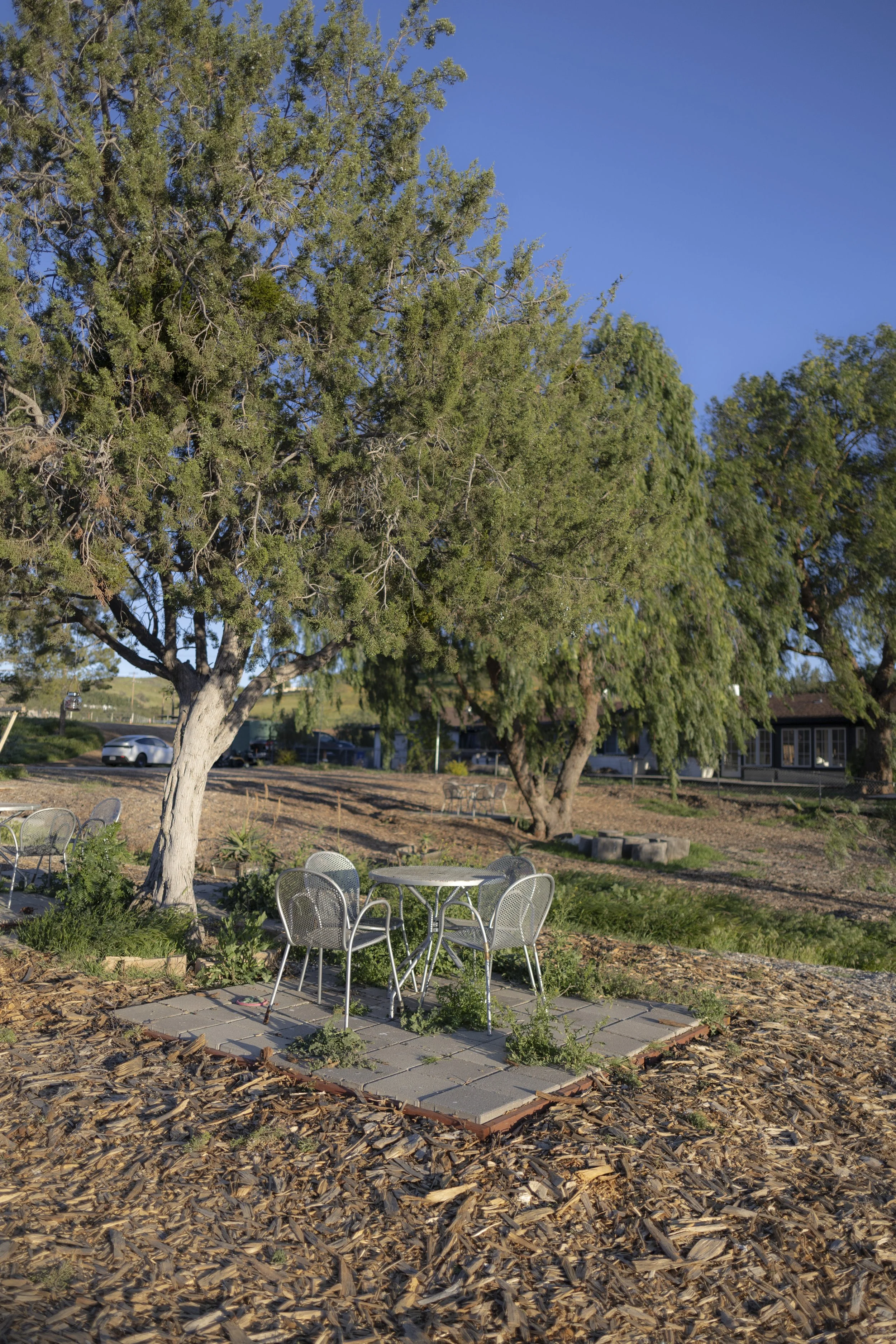 Metal outdoor table with four chairs on a paved section under a large leafy tree. A second table with chairs is visible in the background. The scene is outdoors on a sunny day with a clear blue sky.