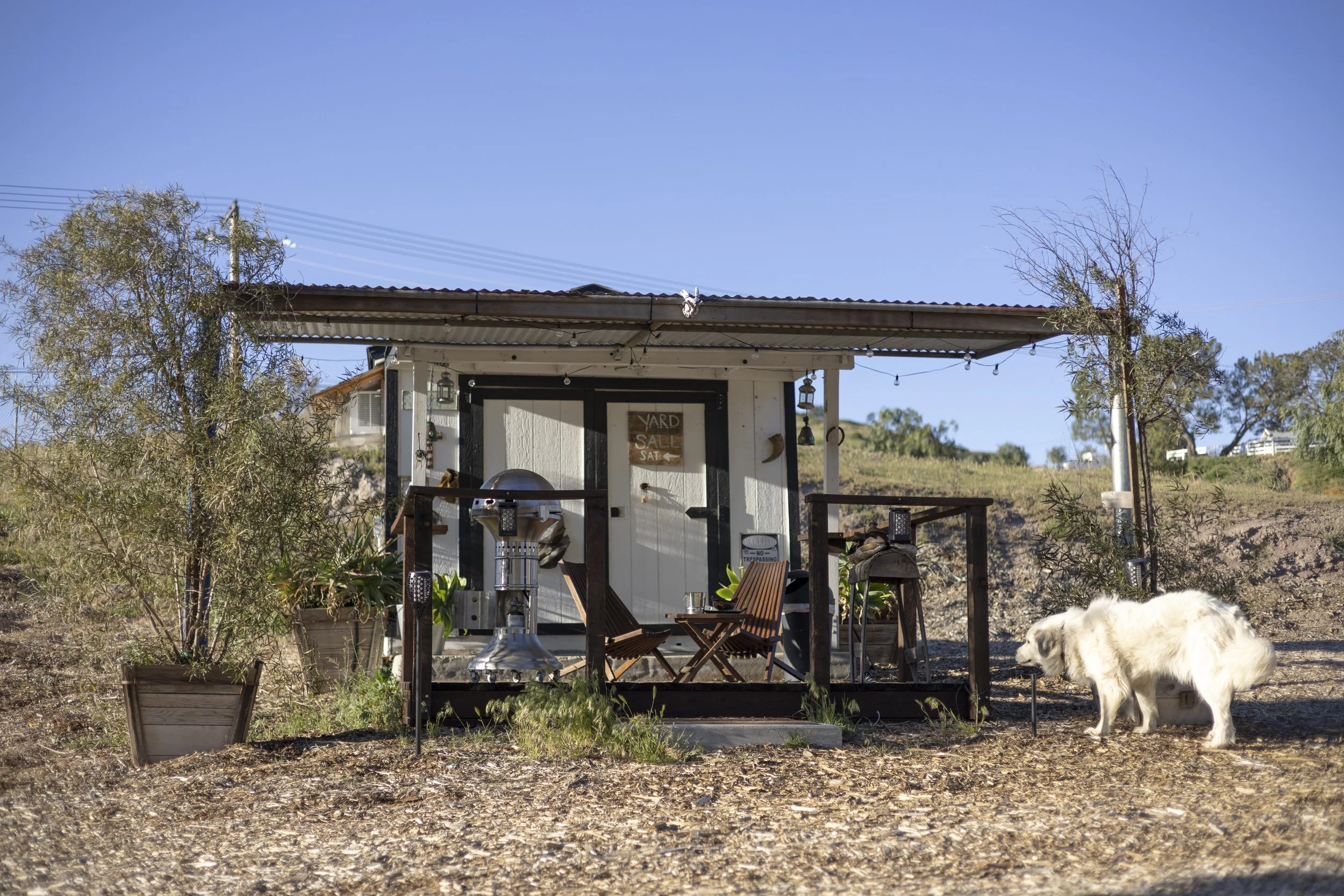 A small backyard shed on a dirt lot with a sign that says 'YARD SALE'. There are potted plants on either side of the shed, a white dog near the right side, a grill, two chairs, and some decorative lights.