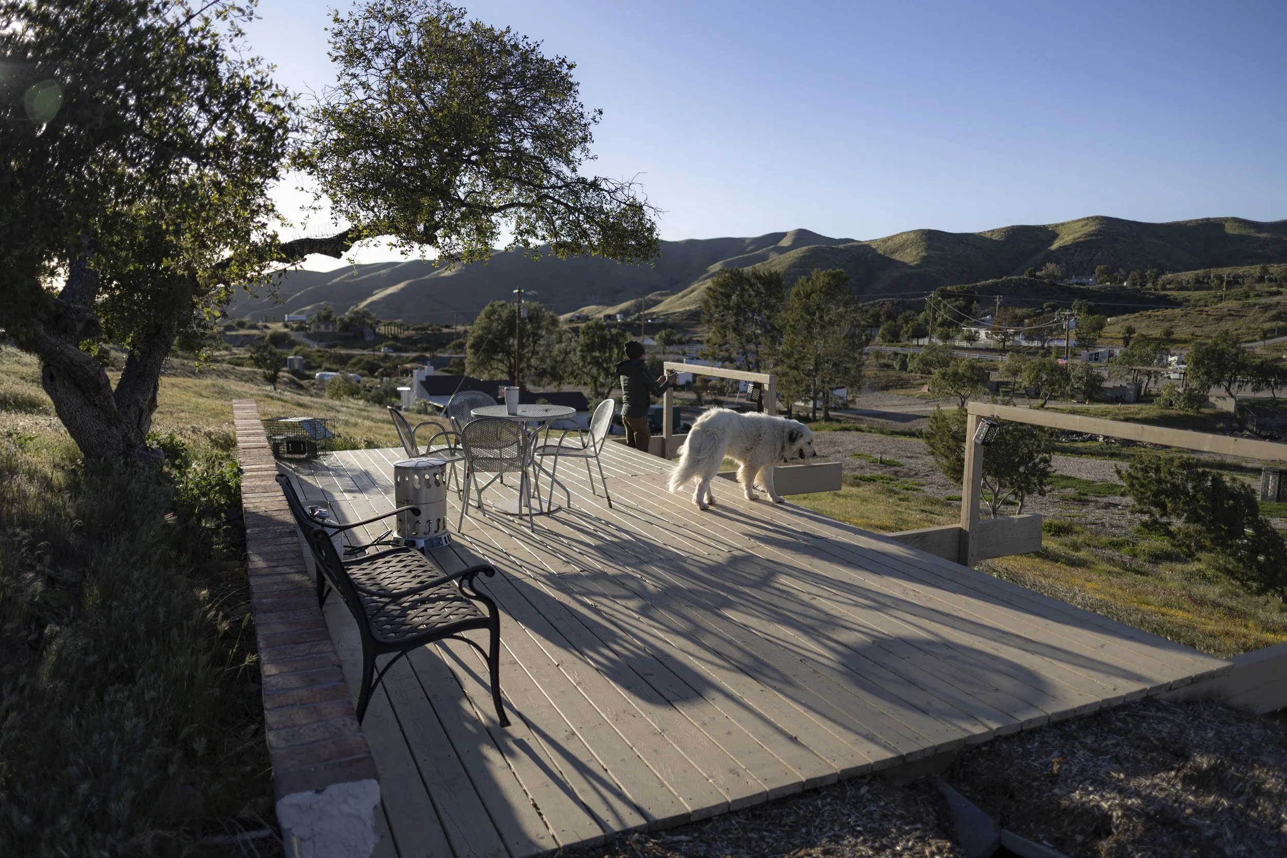 A wooden deck with outdoor furniture, including chairs and a table, in a rural area with green hills in the background. A person is standing on the deck, and a large white dog is sniffing near a planter box. There are trees around the deck, and the scene is lit by warm sunlight.