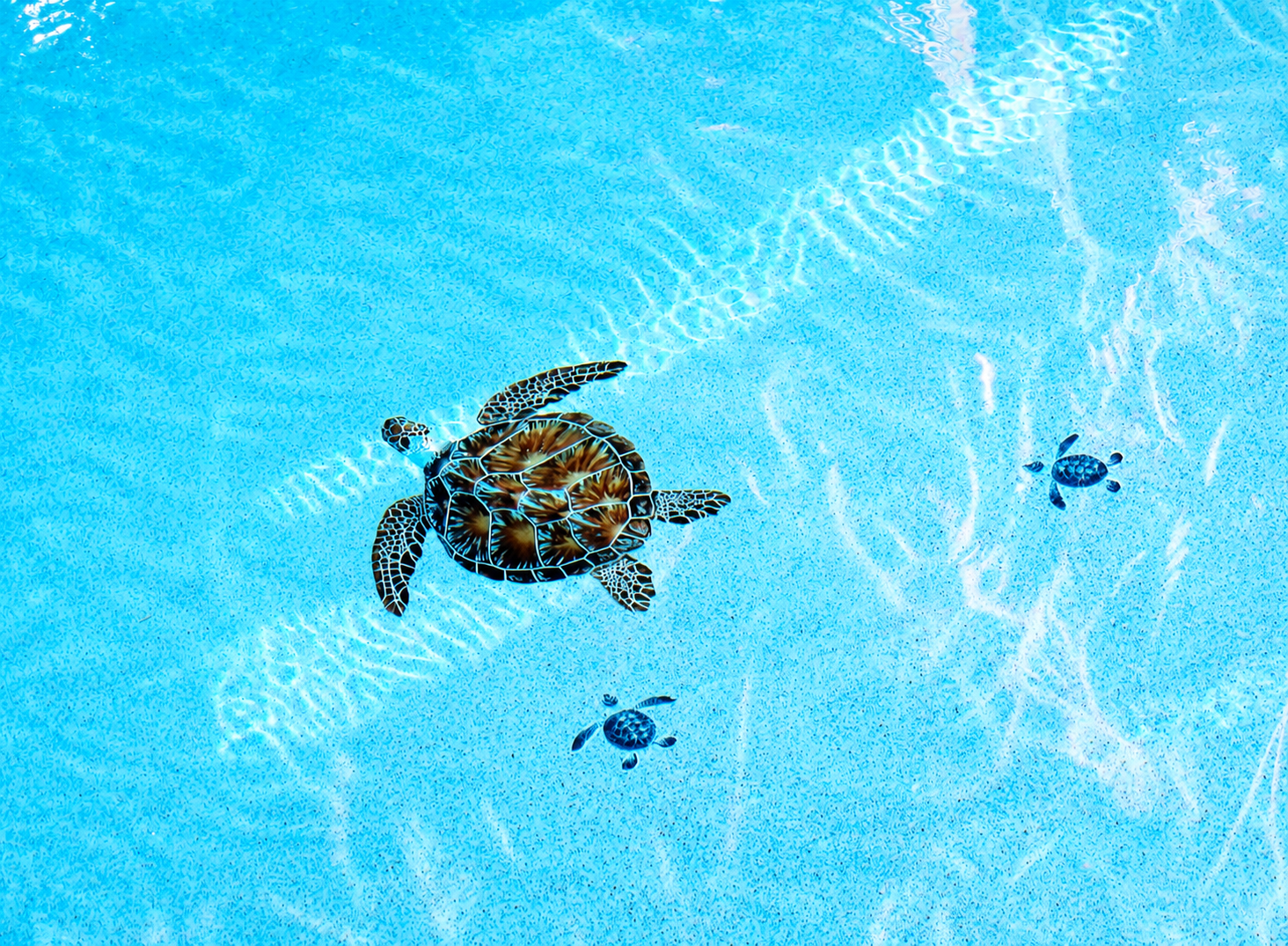IMG_0098.png