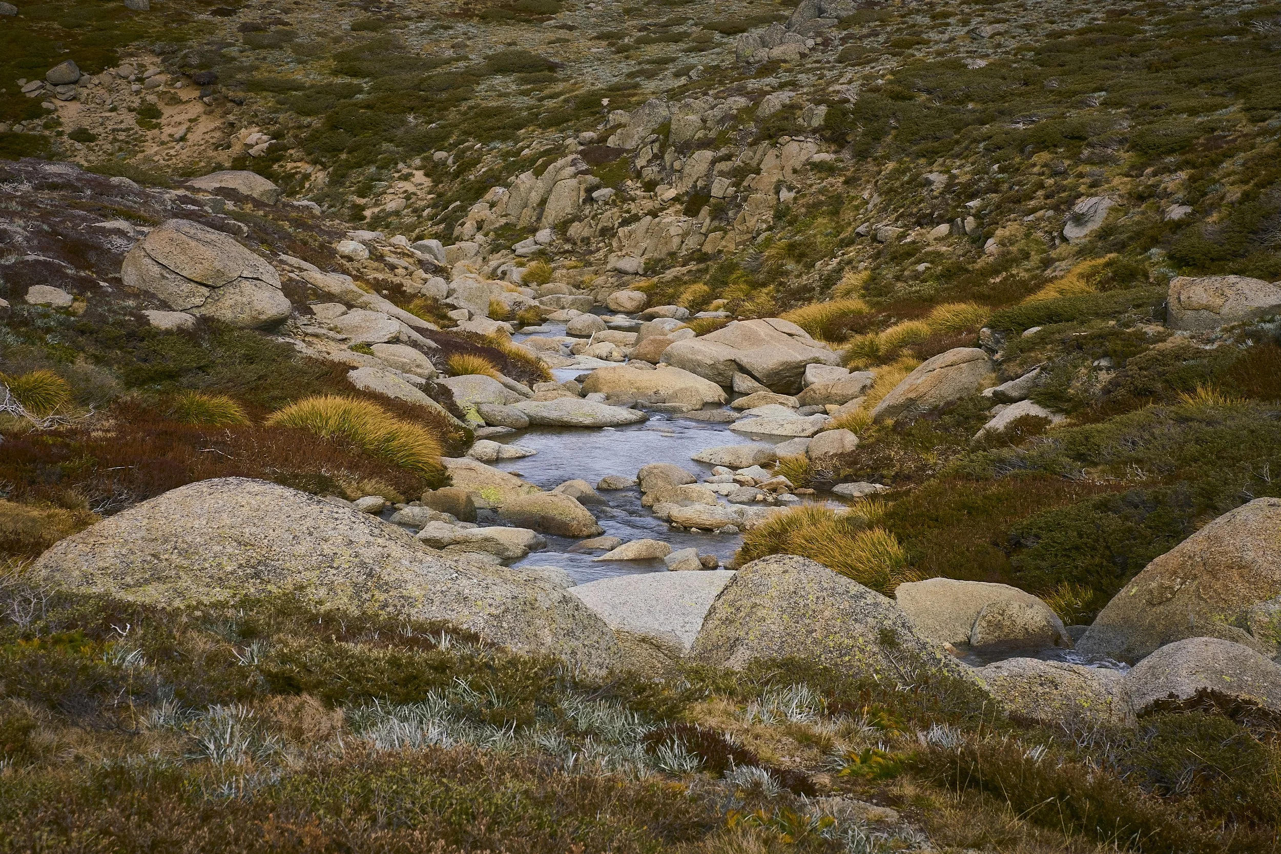 Kosciuszko National Park