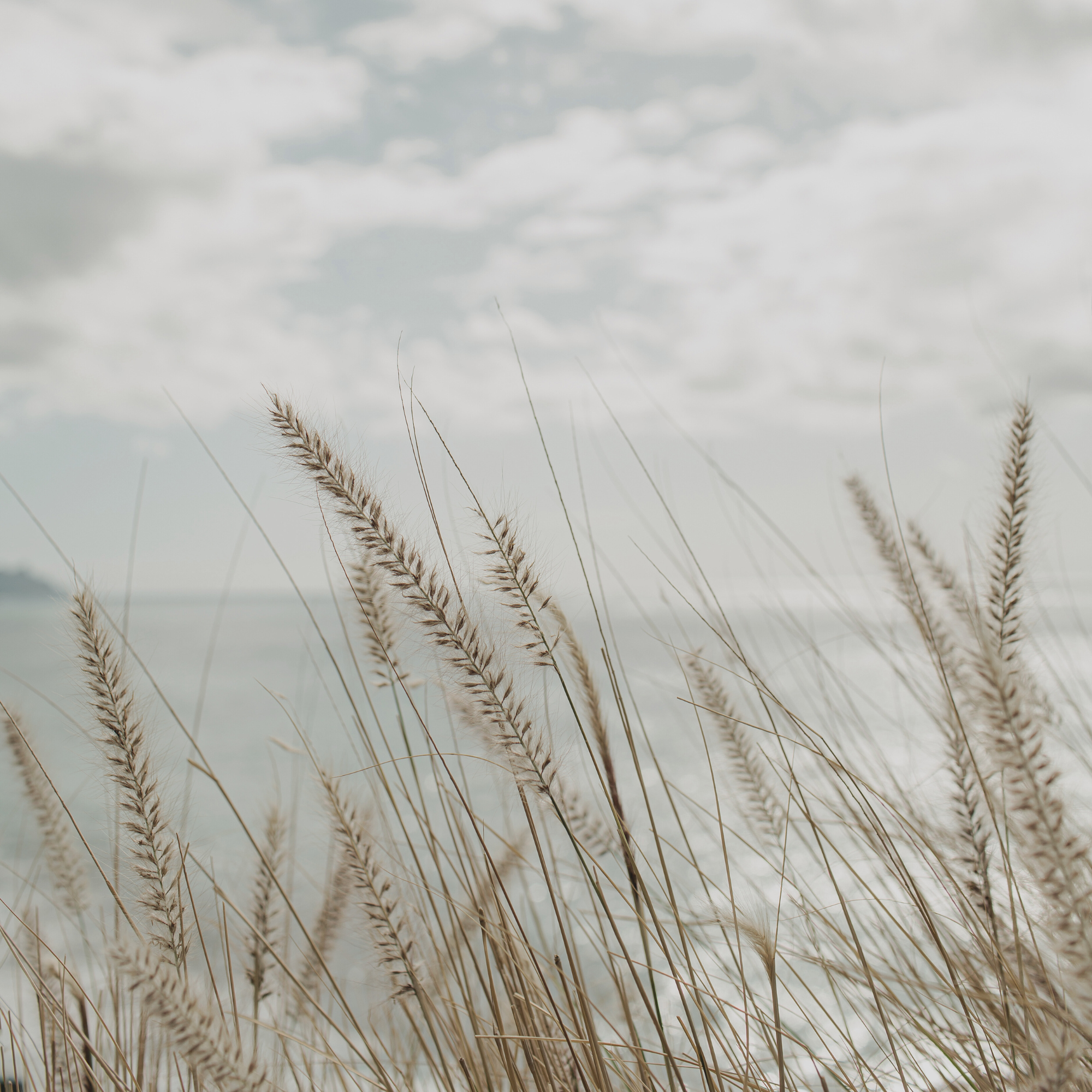 Funeral & Eulogy Writing