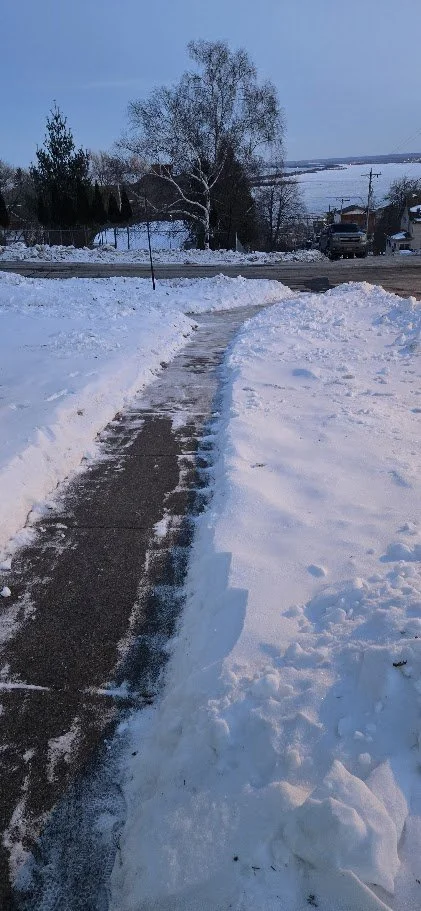 Snow-covered sidewalk with cleared path, leafless trees, houses, and parked cars in a snowy neighborhood during daytime.
