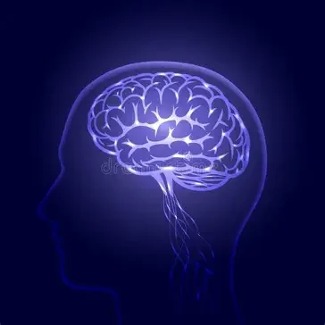 Ilustración digital de un cerebro humano con conexiones neuronales en un fondo oscuro.