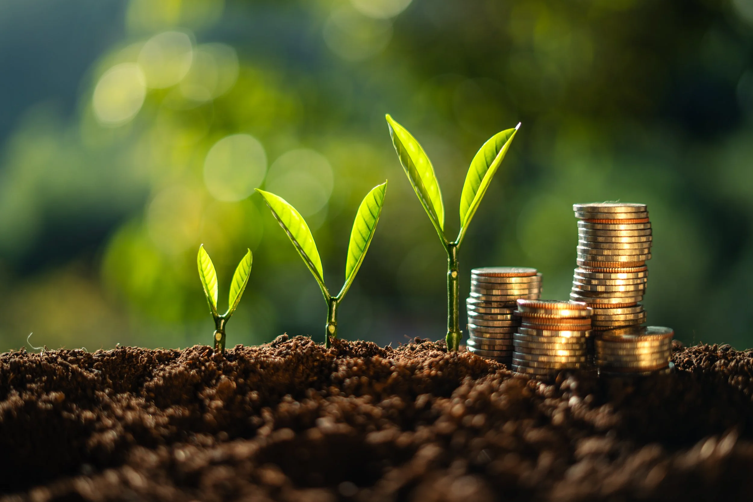 Pequeñas plantas creciendo en la tierra junto a pilas de monedas de diferentes tamaños, simbolizando crecimiento económico y desarrollo sustentable.