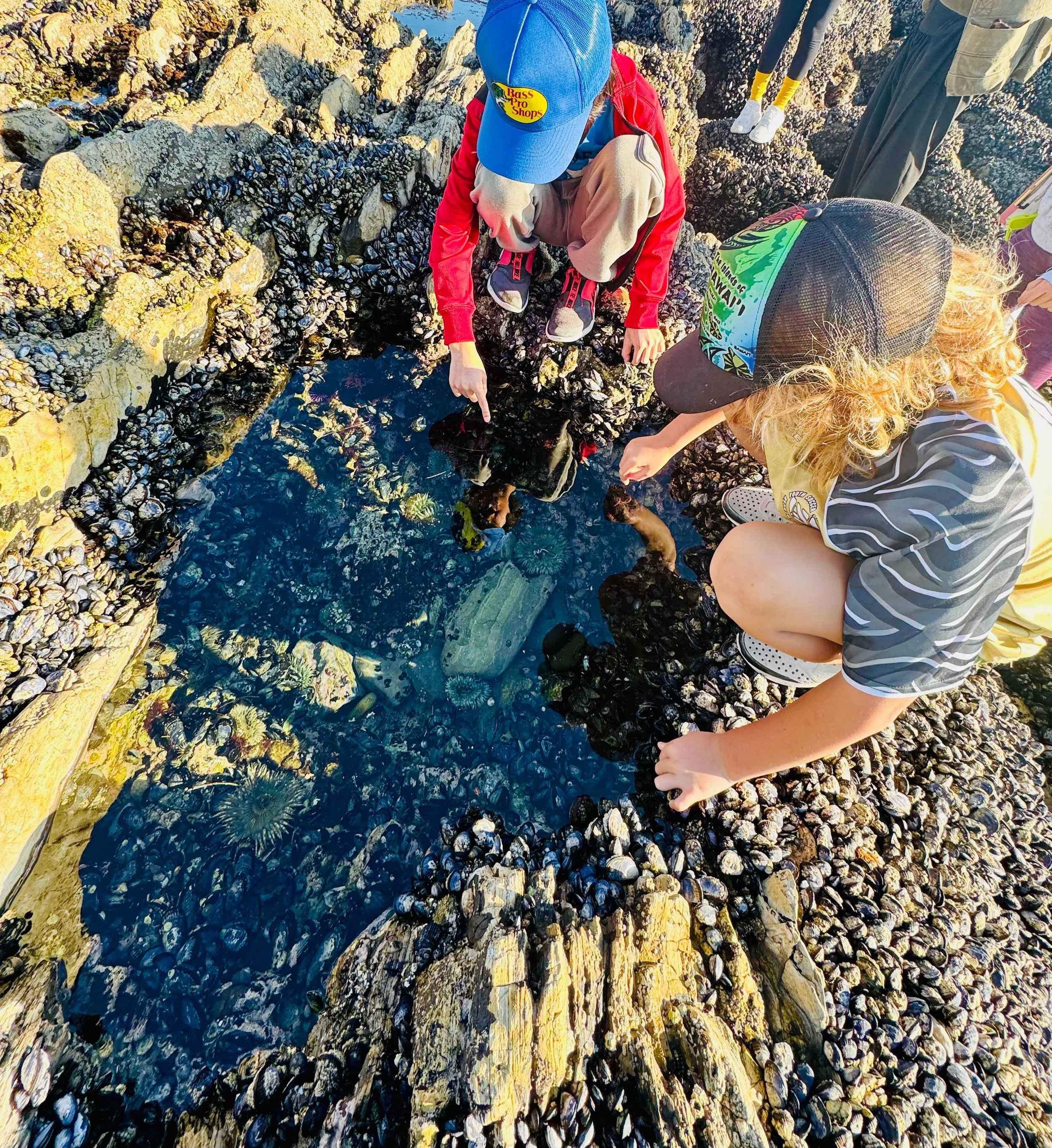 Bilingual Beach School