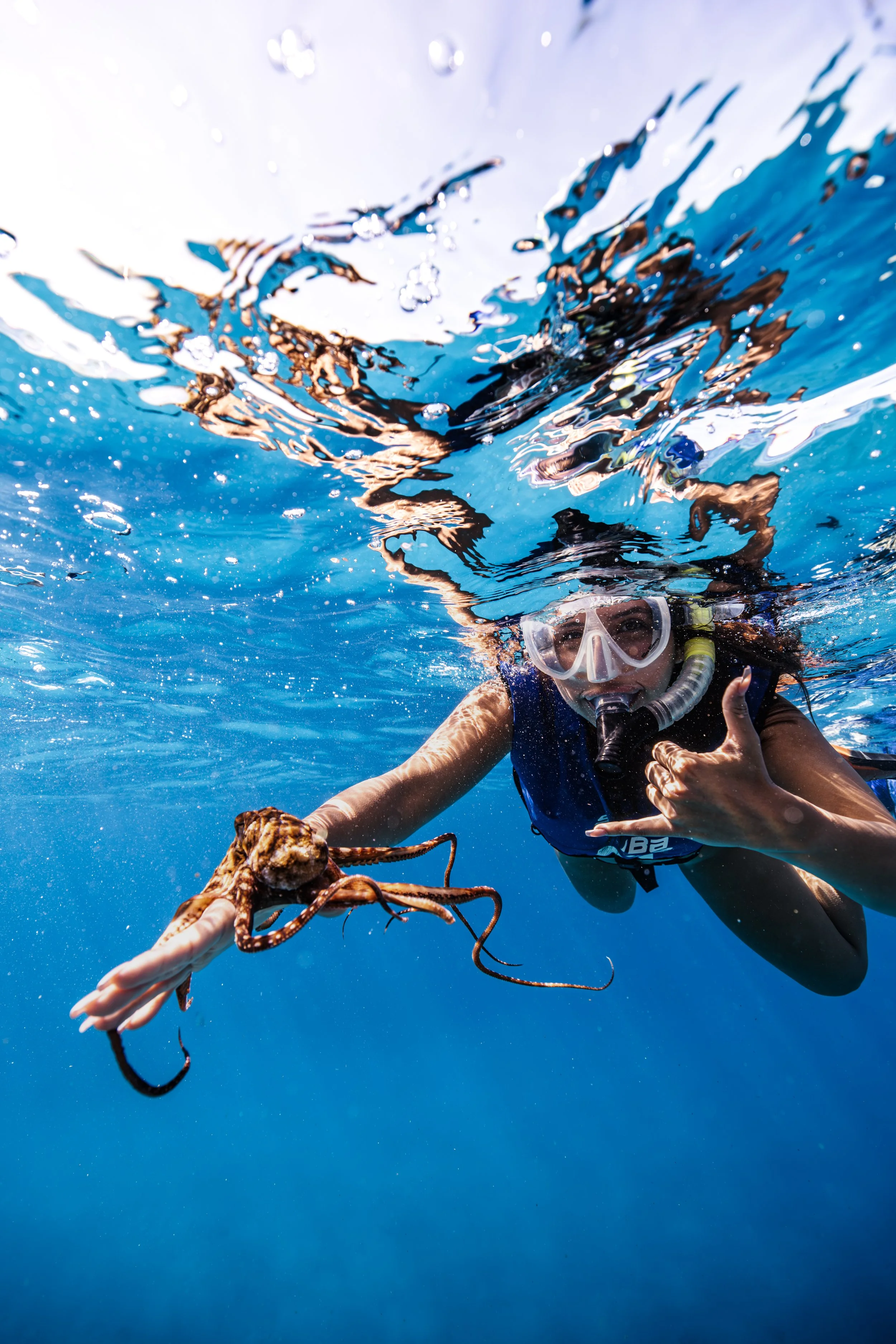 Group snorkeling experience at Turtle Canyon on a Waikiki boat charter along the south shore of Oahu.