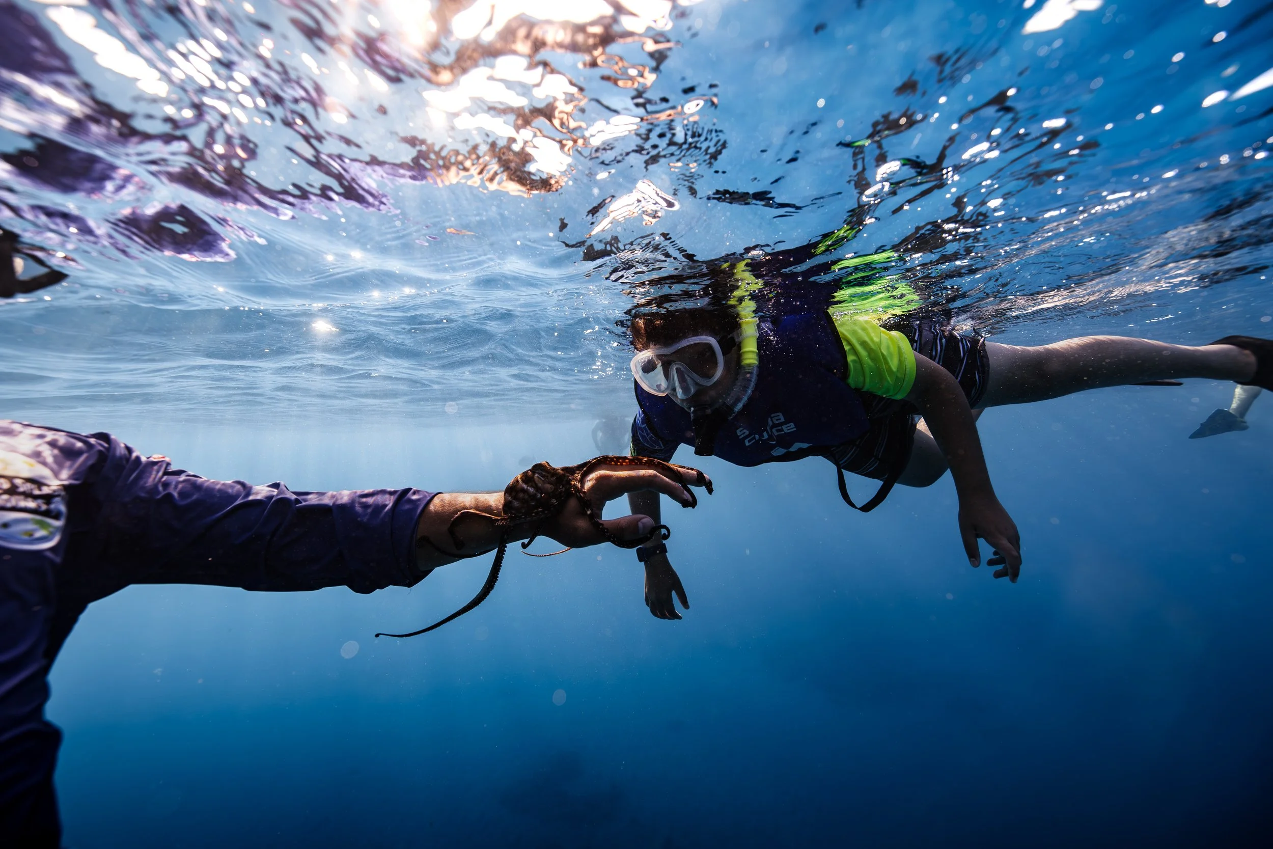 Oahu snorkel boat cruise near Waikiki with photo packages and sea turtle encounters.