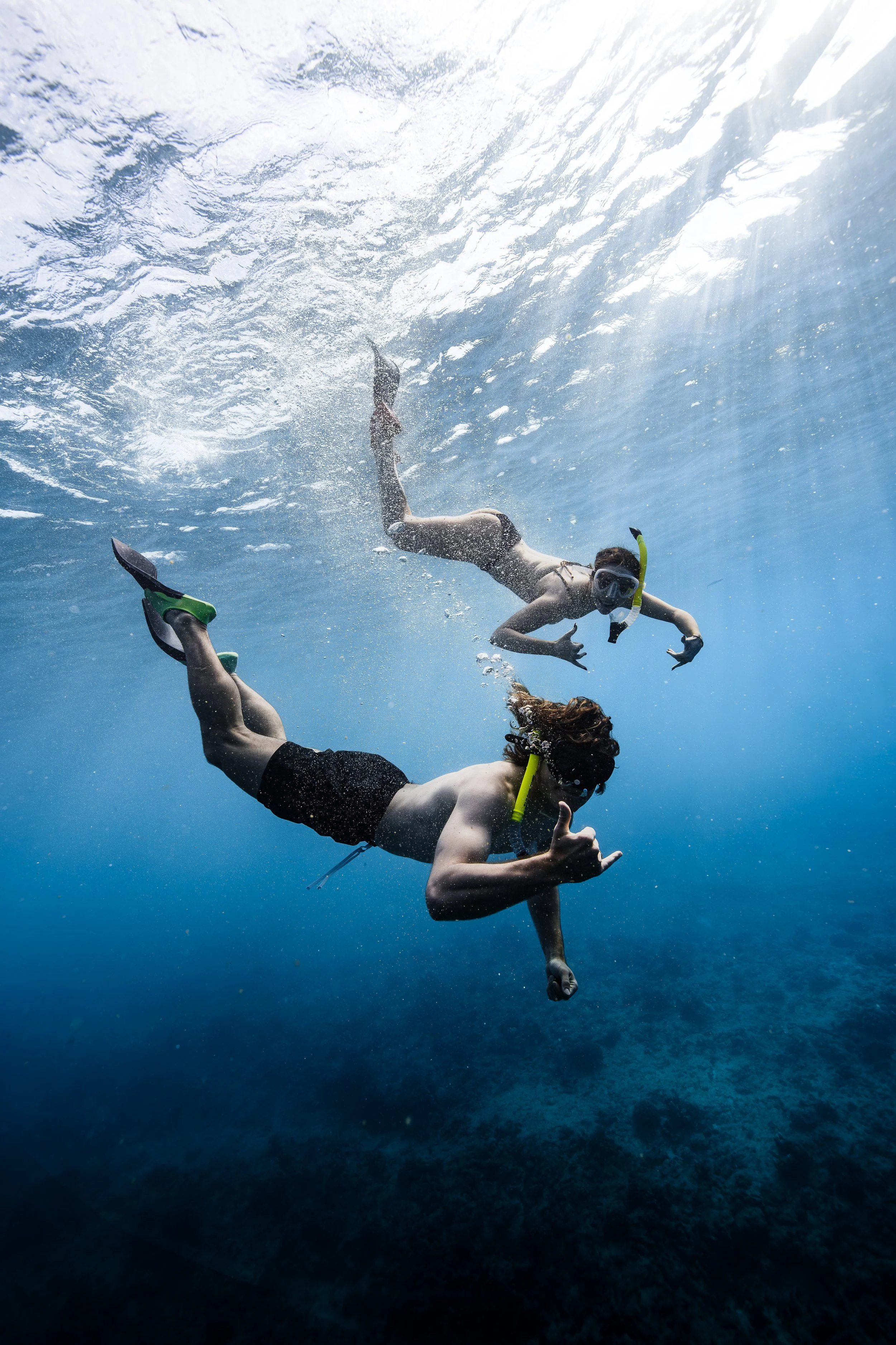 Guests snorkeling with turtles during an Oahu boat tour departing Waikiki Harbor.