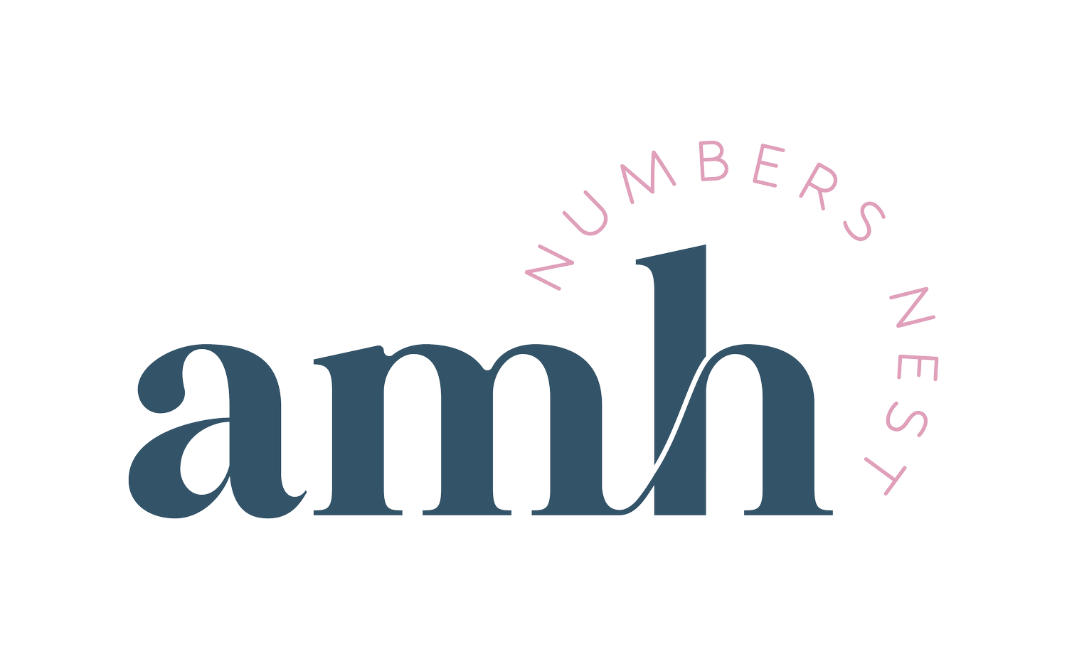AMH Numbers Nest | Bookeeping &amp; BAS Agent