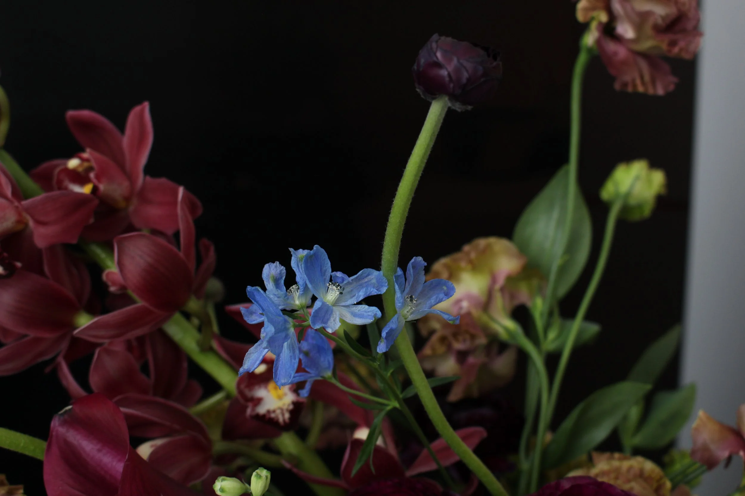 IMG_4723.jpeg