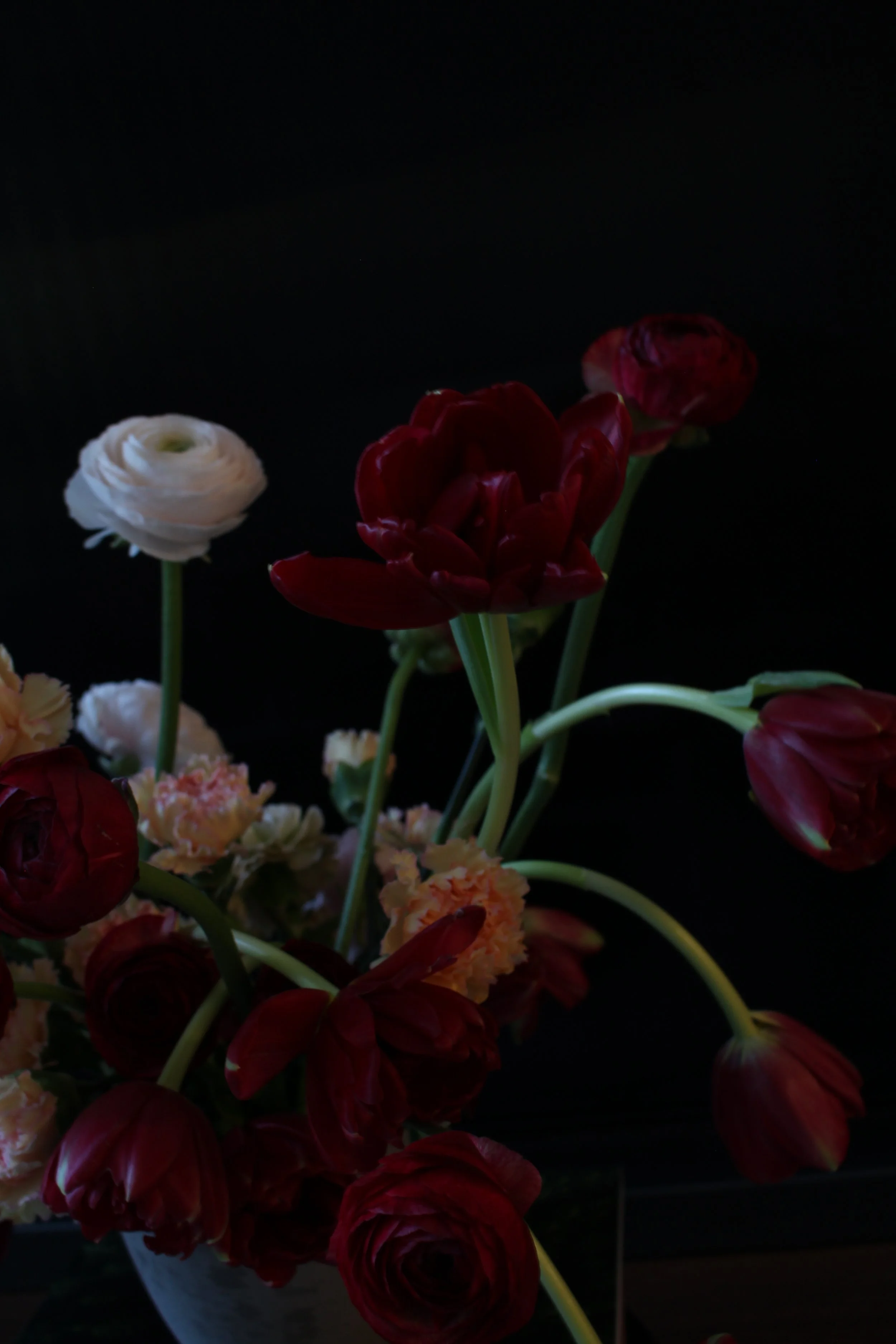 IMG_5034.jpeg