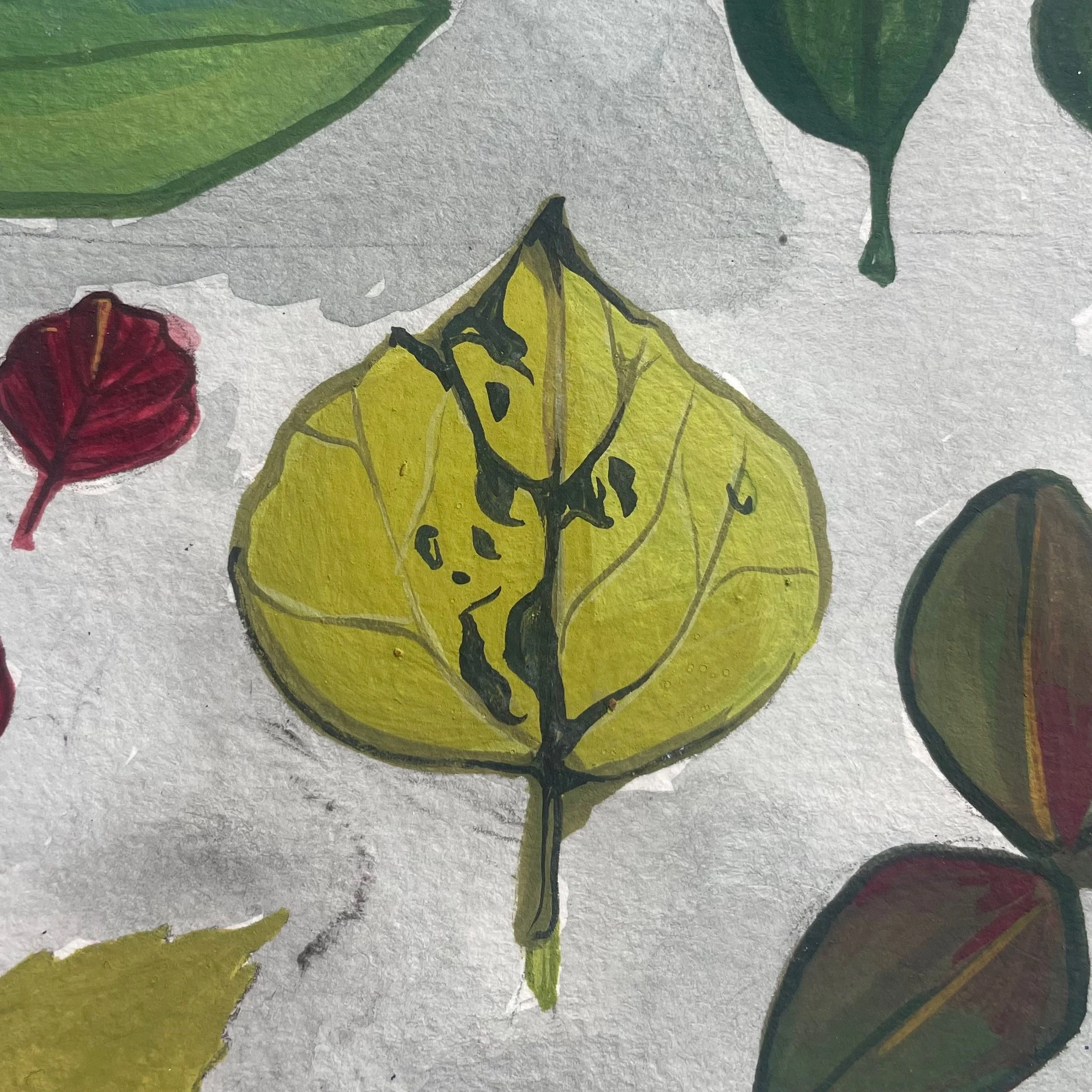 FullSizeRender (3).jpeg