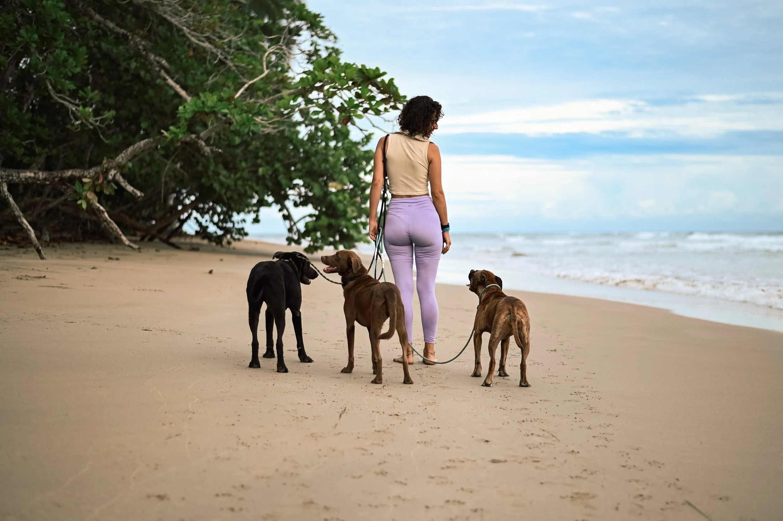 Kindergarten with training