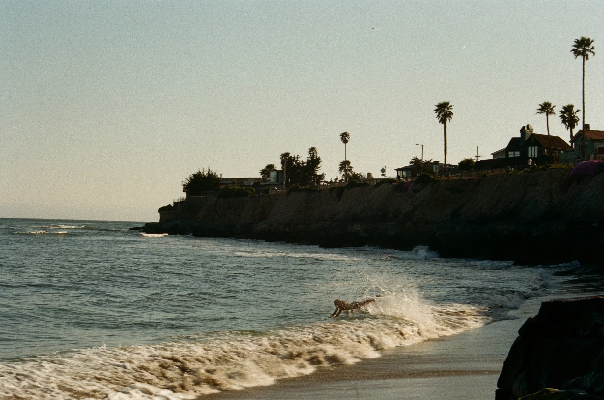 a radio washed up at shore

beside a torn t-shirt
that once swam with the jellyfish
in the quiet blue
