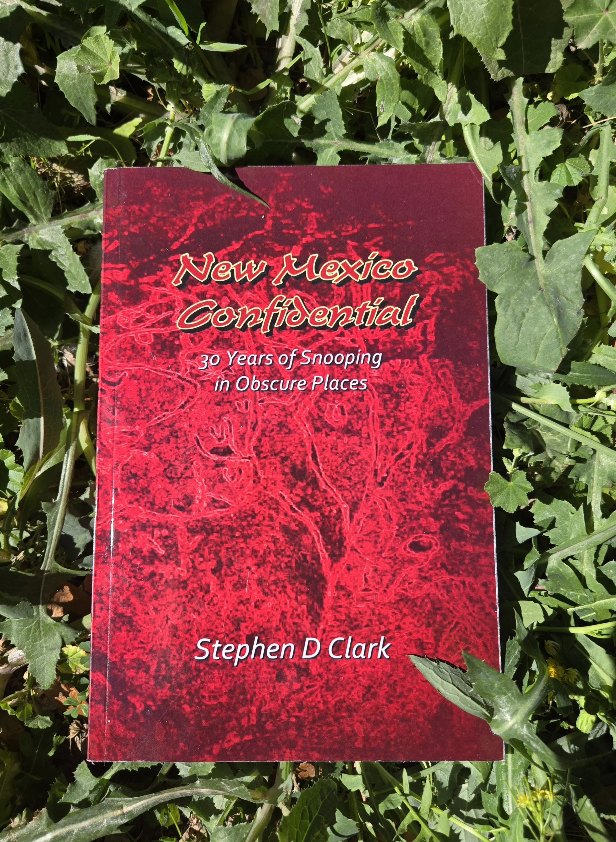 New Mexico Confidential