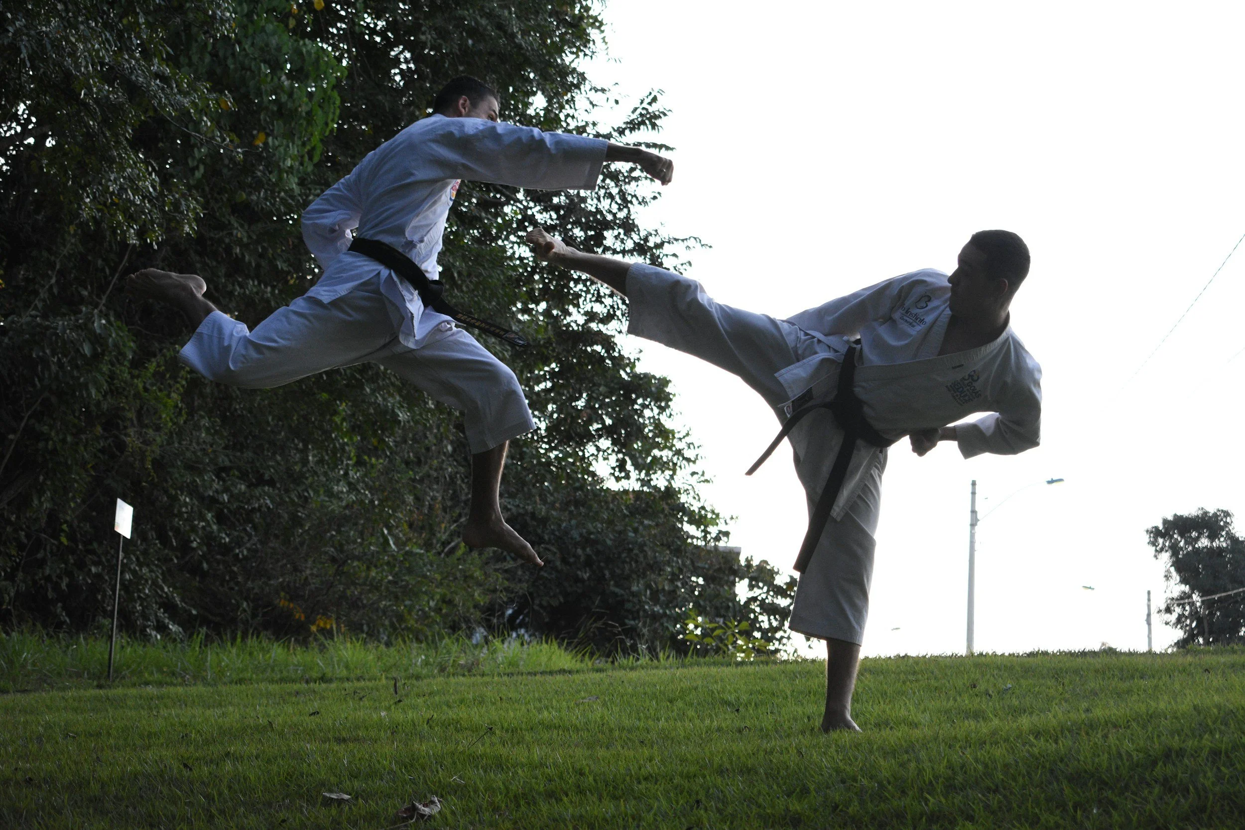 Two martial artists in traditional uniforms (gi) practicing martial arts outdoors, one performing a high kick toward the other, against a background of trees and a grassy field.
