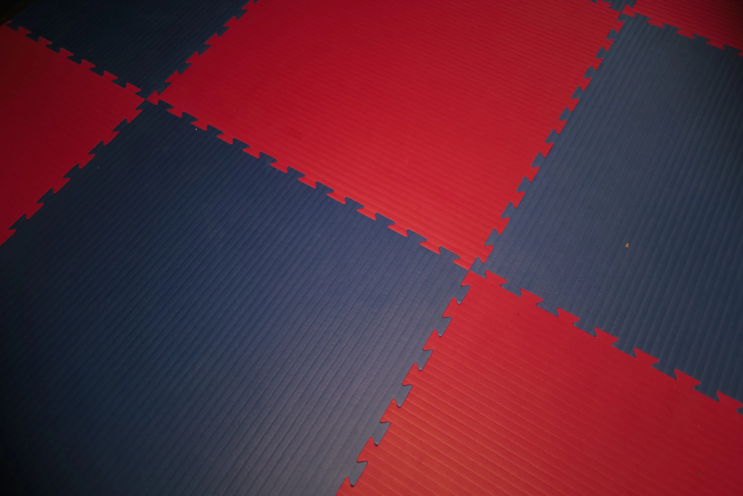 Close-up of a red and blue interlocking foam mat with textured surface.