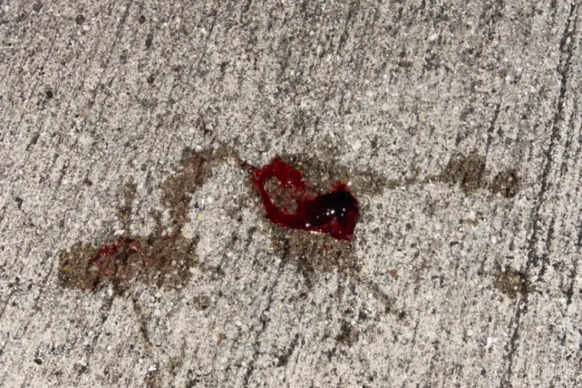 Close-up of a small dark-colored creature with a red substance, lying on a concrete sidewalk.