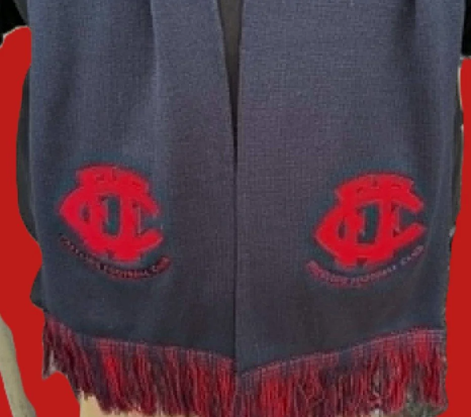 Scarf - $30
