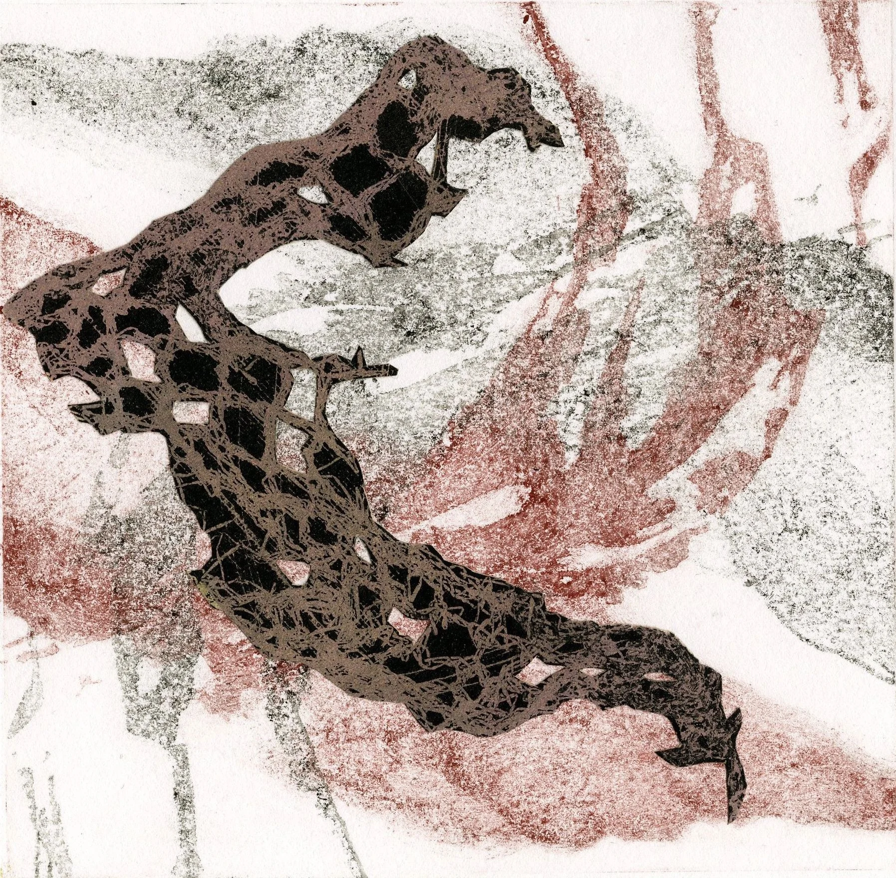 Path of the Holm-oak