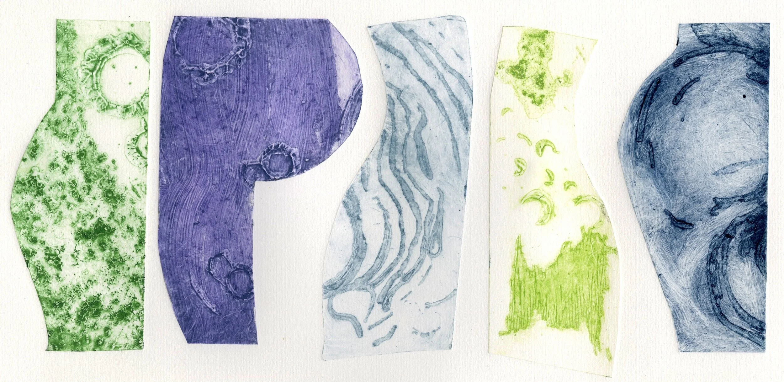 Litterae feminarum I -- collagraph, monoprint 9" x 17"  2024 