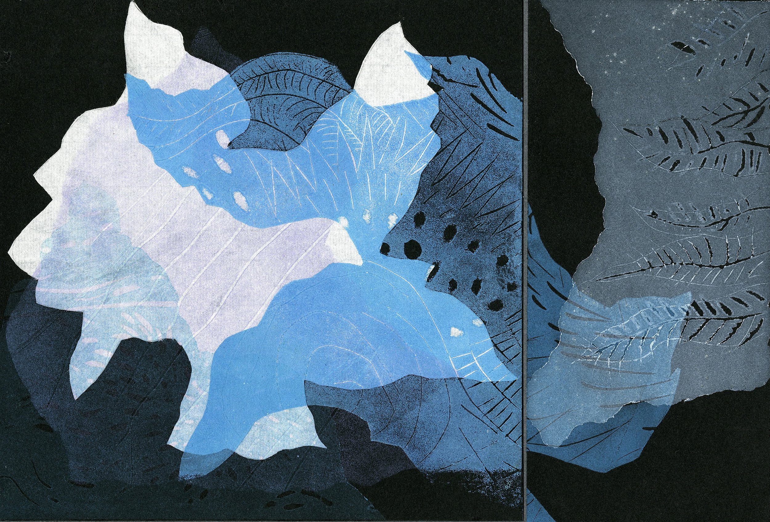 Lagoon VI, relief monoprint, diptych on black paper.  paper: 9 3/4 x 14" image: 7 x 10 ", 2026