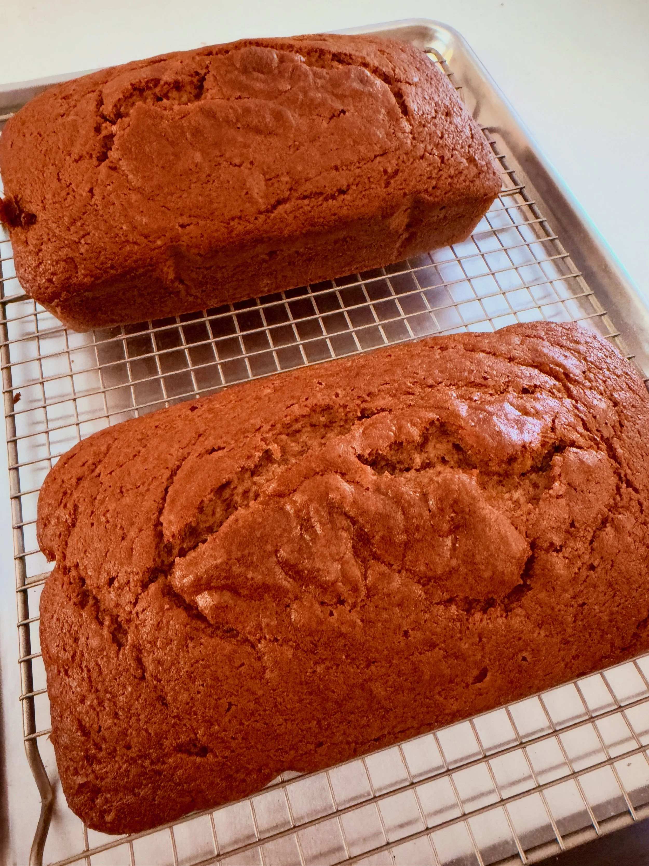 Pumpkin Spice Bread 1.jpeg