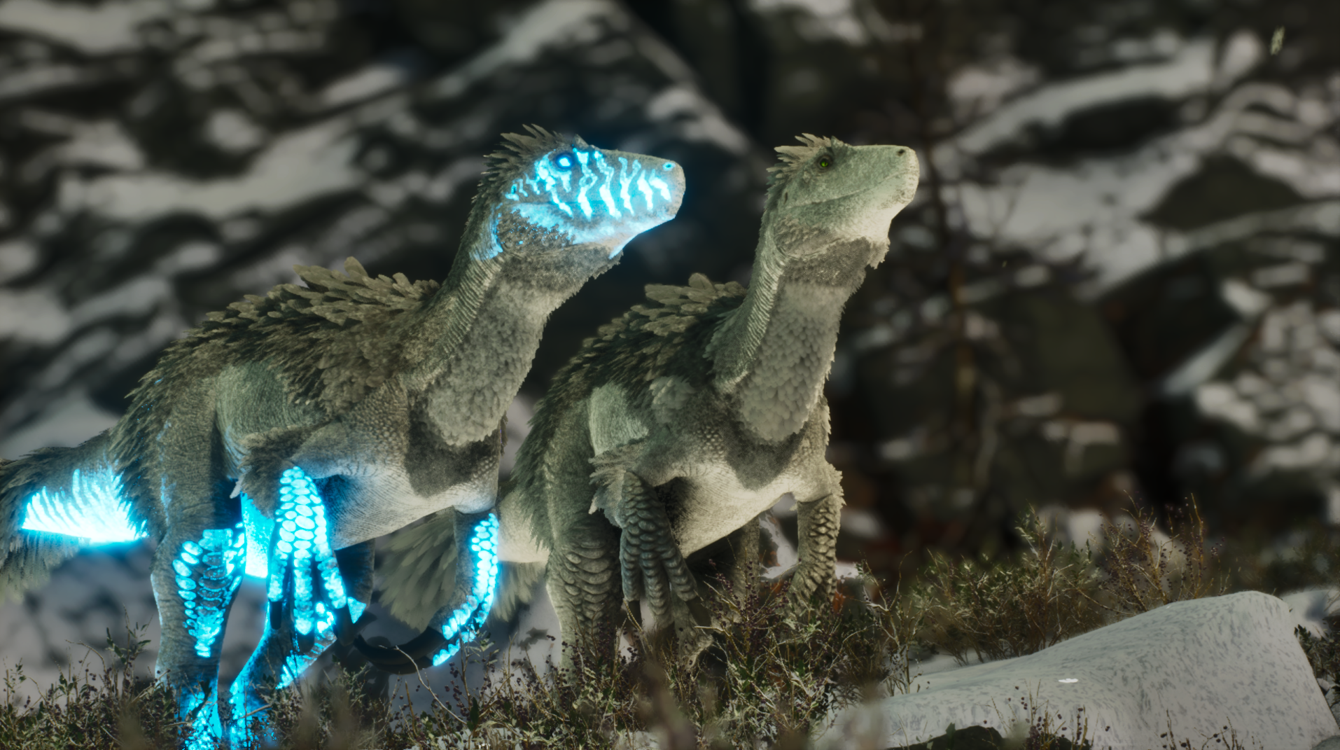 Dino Auction Begin/End