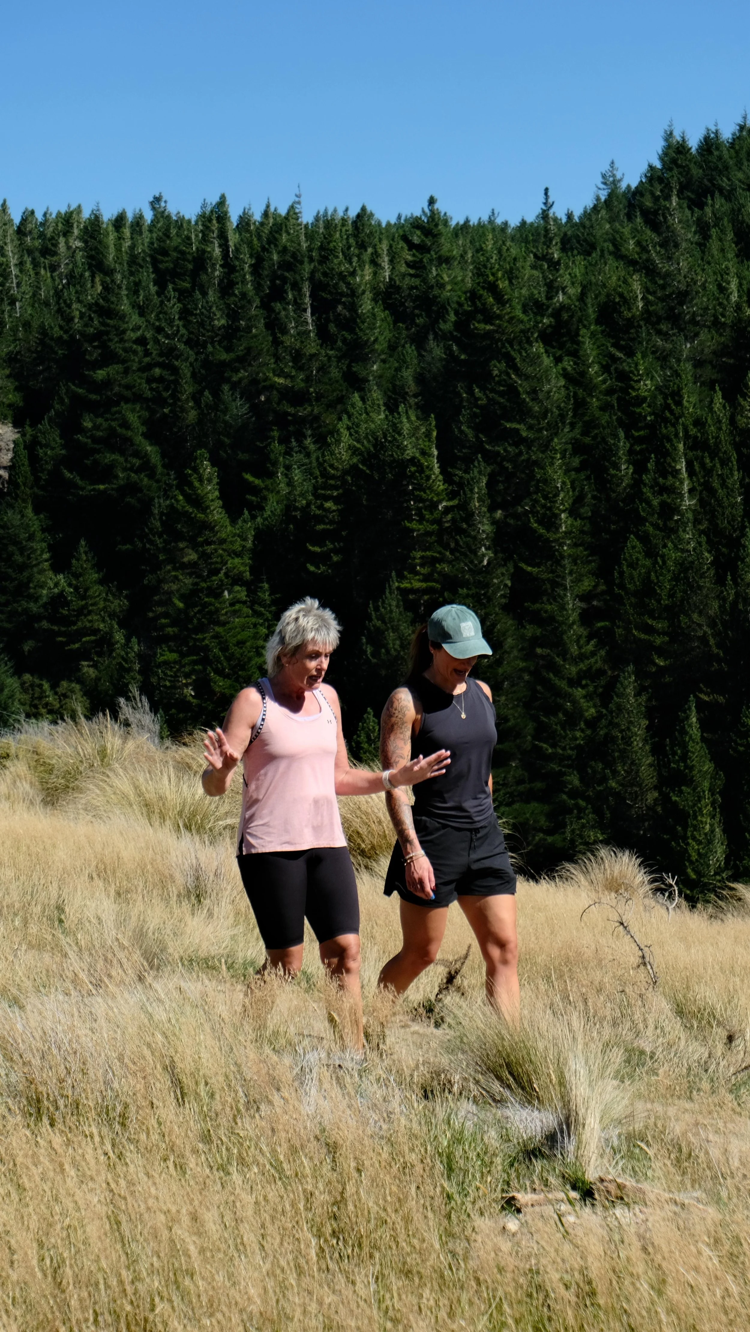 Lisa Stonnell Coaching