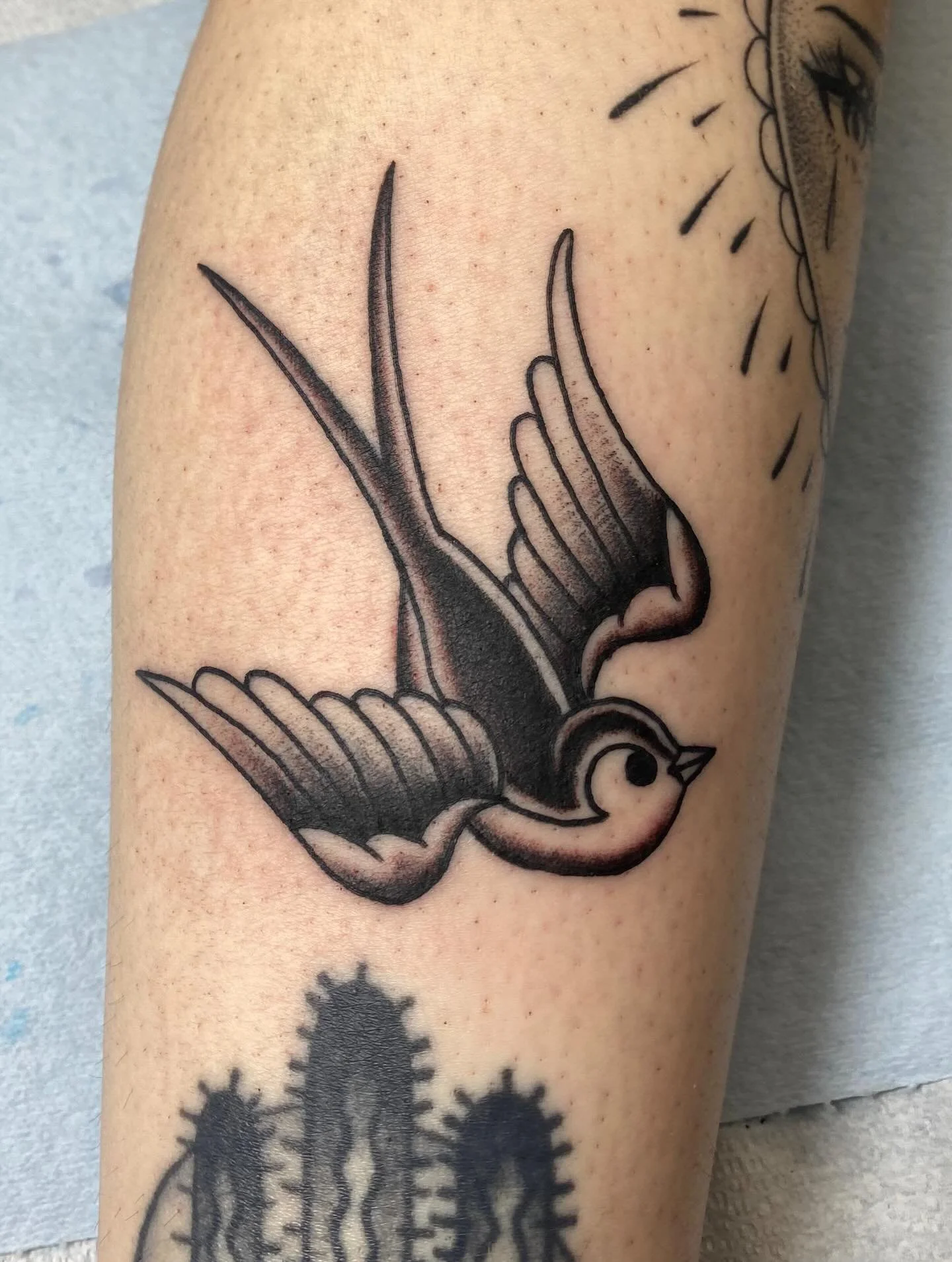 This lil birdie flew into the shop as a walk-in, thanks for swinging by @k.y.l.e.i.g.h.x @thickasthievestattoo #traditionaltattoo #tattoo #denvertattoo #traditionalsparrow #sparrow