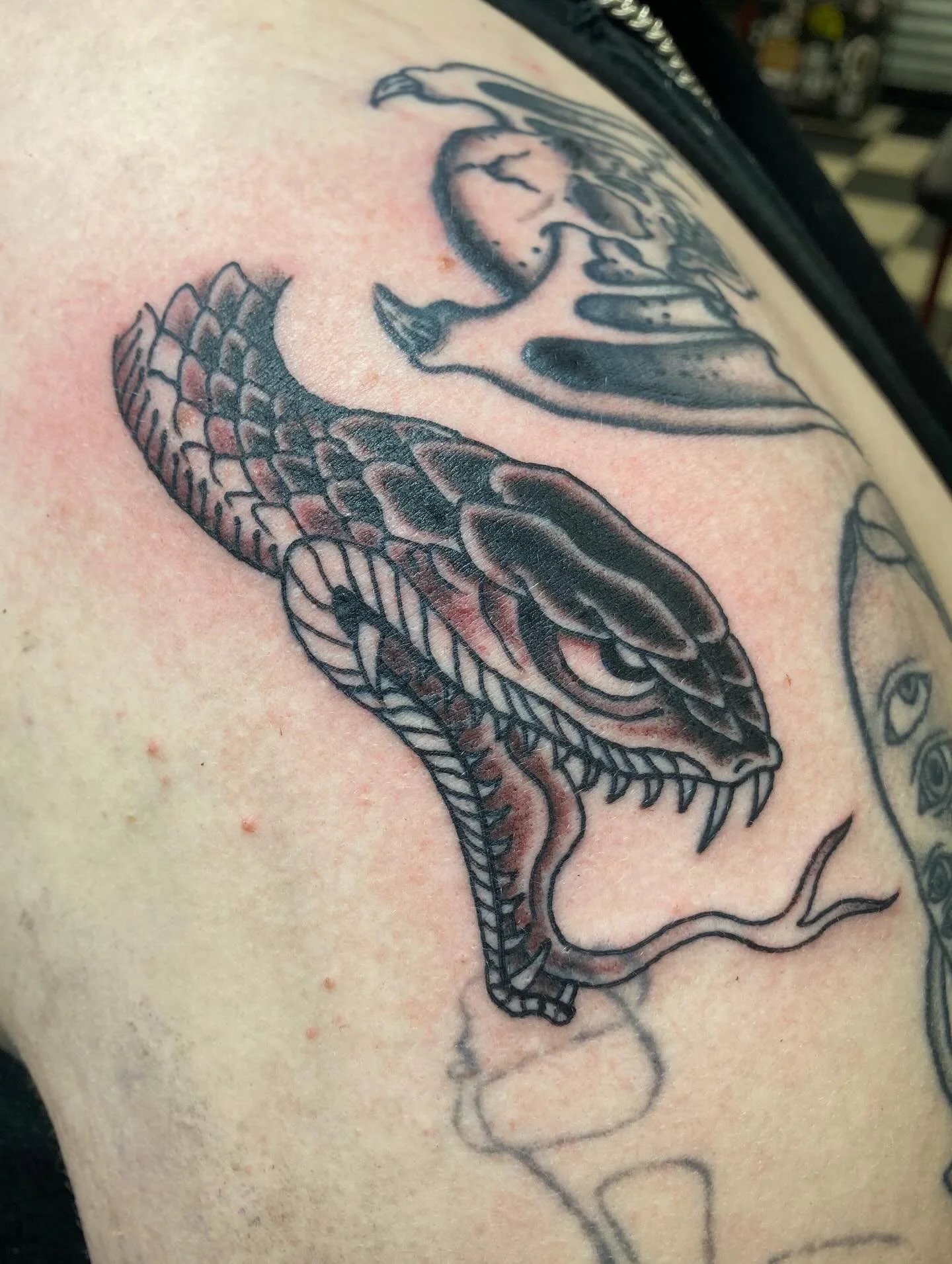 Here&rsquo;s a Chris O&rsquo;Donnell snake head I got to make as a walk-in. Thanks for looking. @thickasthievestattoo #japanesetattoos #tattoo #denvertattoo