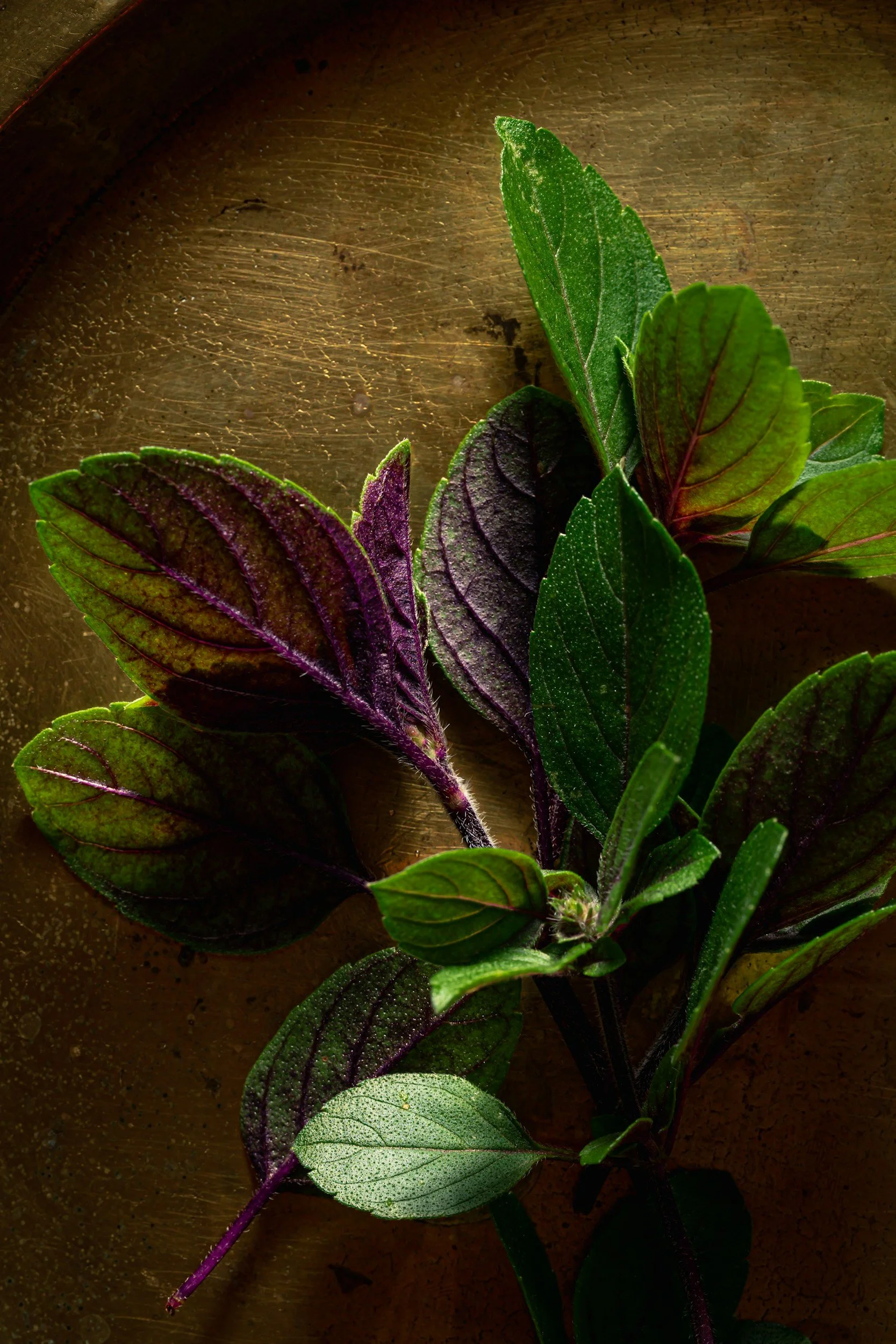 A bunch of fresh green and purple leaves with a frosted appearance on a wooden surface.