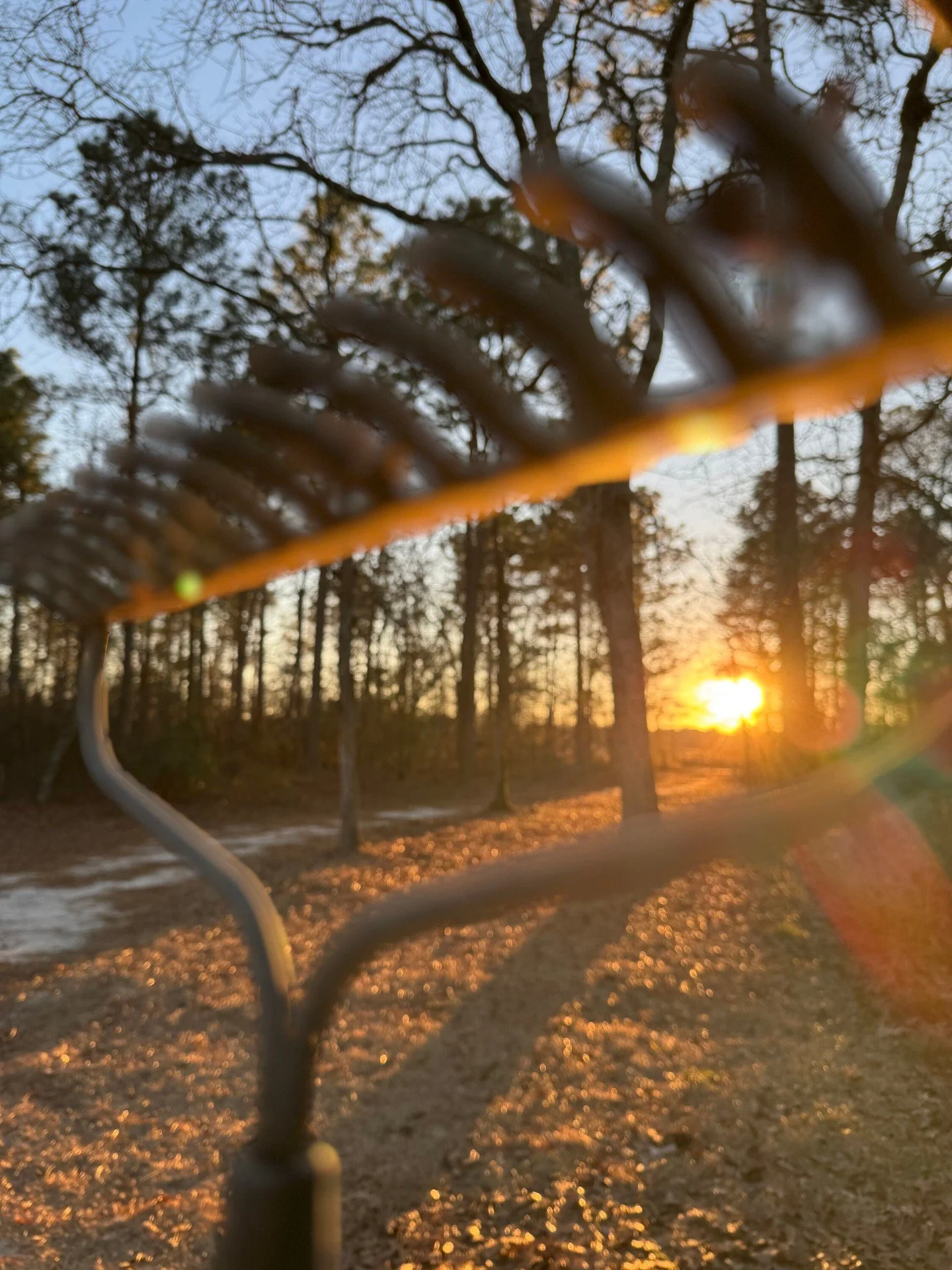 There&rsquo;s a kind of craftsmanship to small-scale farming that doesn&rsquo;t always get seen.

Tools, timing, and repetition&mdash;done with care&mdash;are what make a bed orderly, a harvest clean, and a bunch of greens feel like something you&rsq