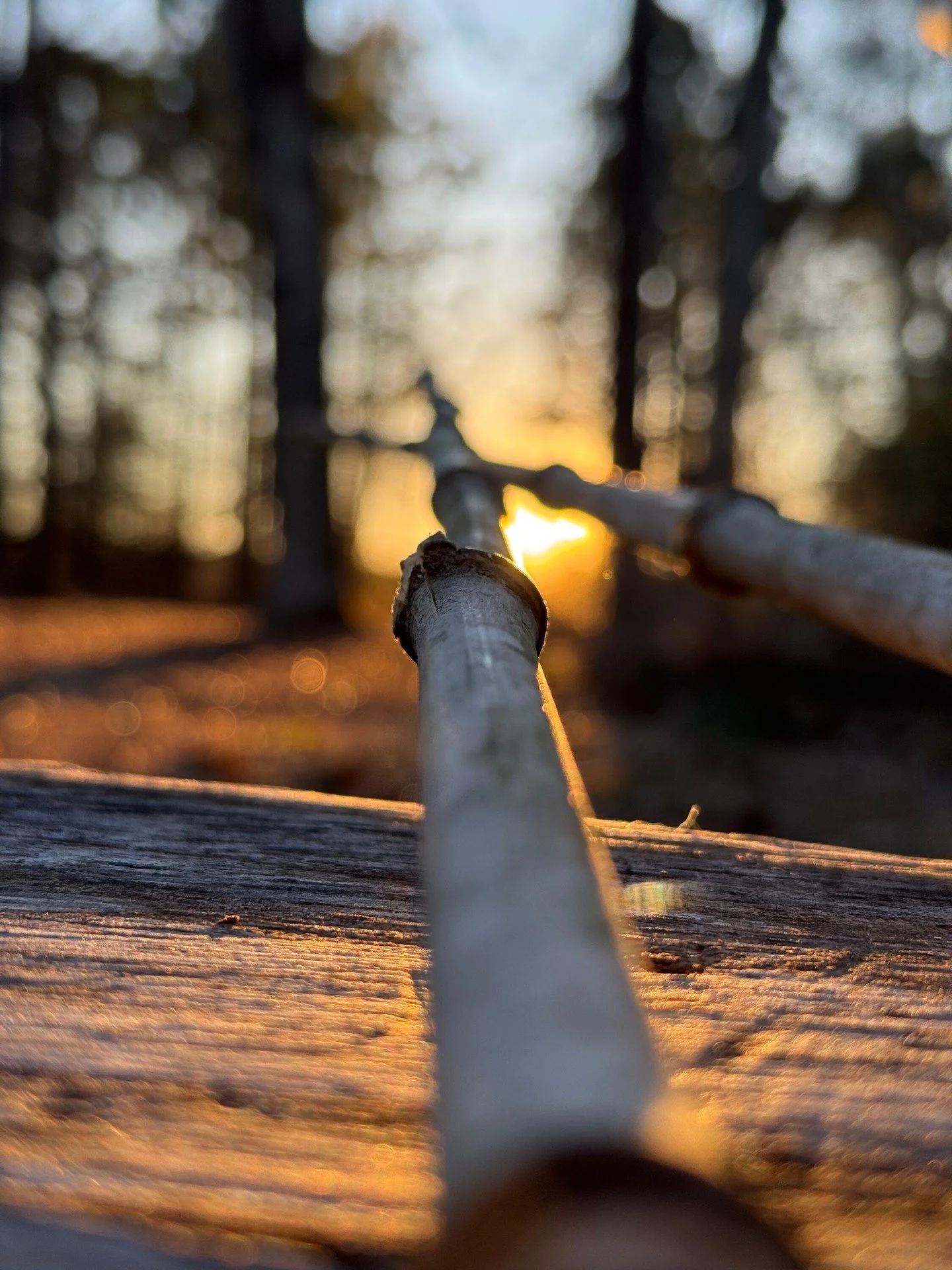 There&rsquo;s a quiet kind of craftsmanship to small-scale farming.

Tools, timing, and repetition.

This is how we build consistency before harvest season begins.

Join the Fresh Sheet waitlist for April updates.

#FarmCraft #MarketGarden #Cultivati