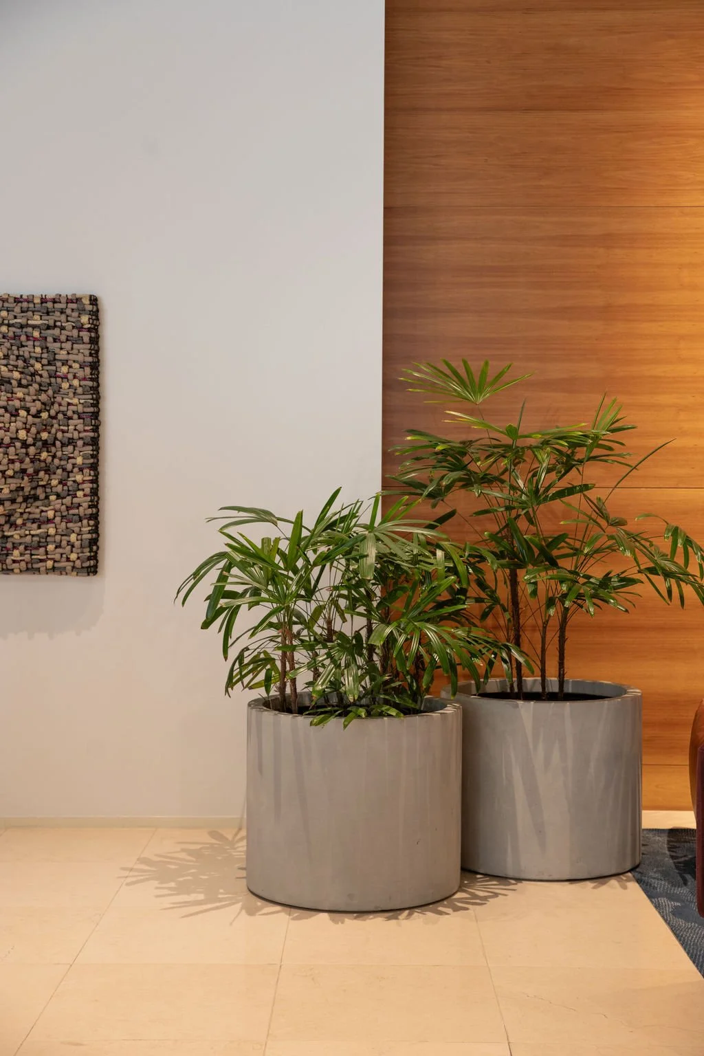 h_Ayus Botanical_NB_RACV_Nov_2024-19.jpg