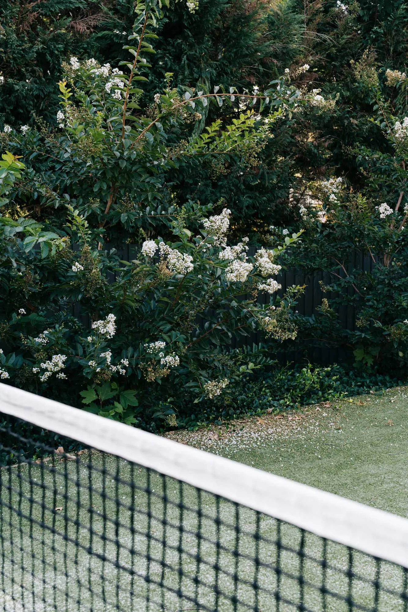 Ayus Botanical_low res-236.jpg