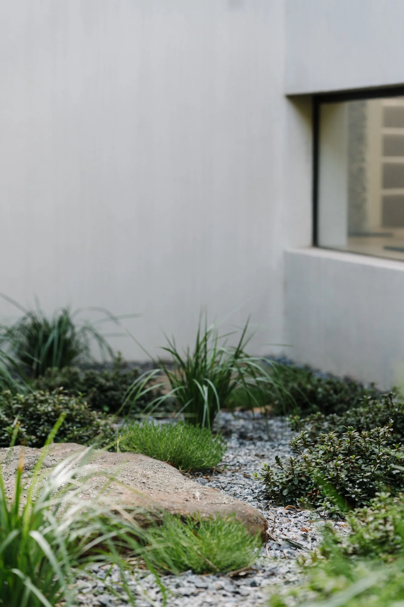 Ayus Botanical_low res-203.jpg