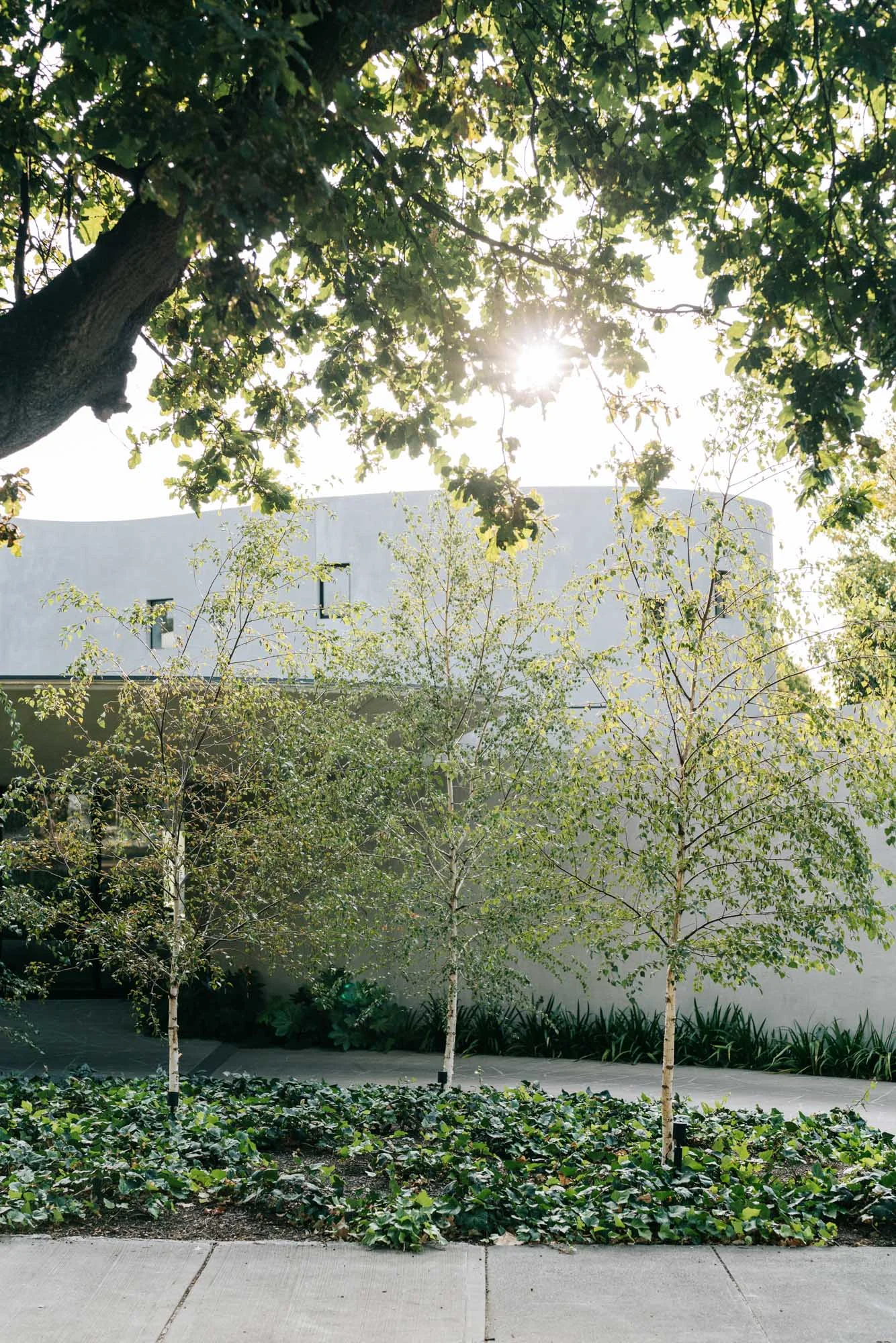 Ayus Botanical_low res-271.jpg