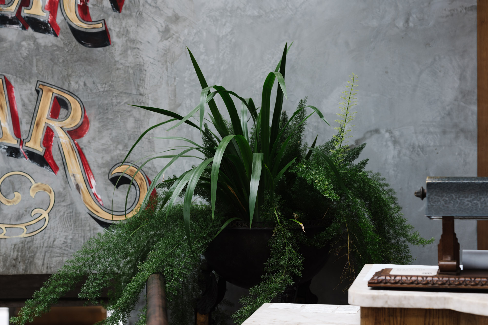 Ayus Botanical_low res-104.jpg