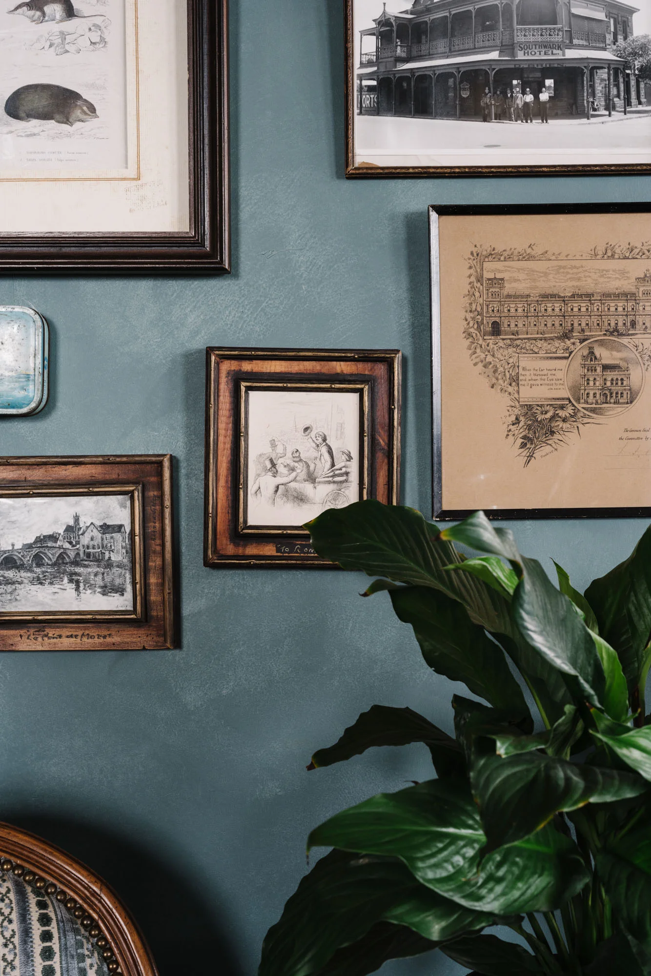 Ayus Botanical_low res-126.jpg