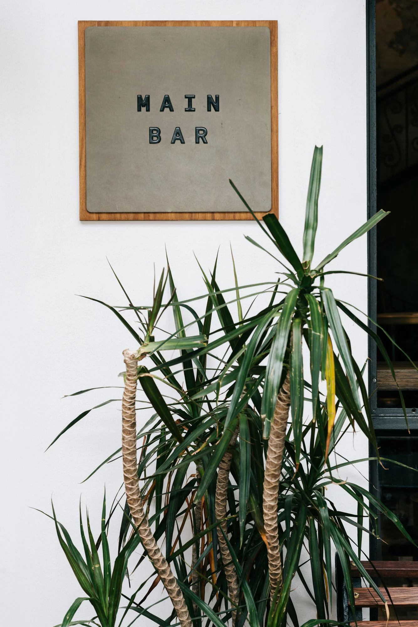 Ayus Botanical_low res-99.jpg