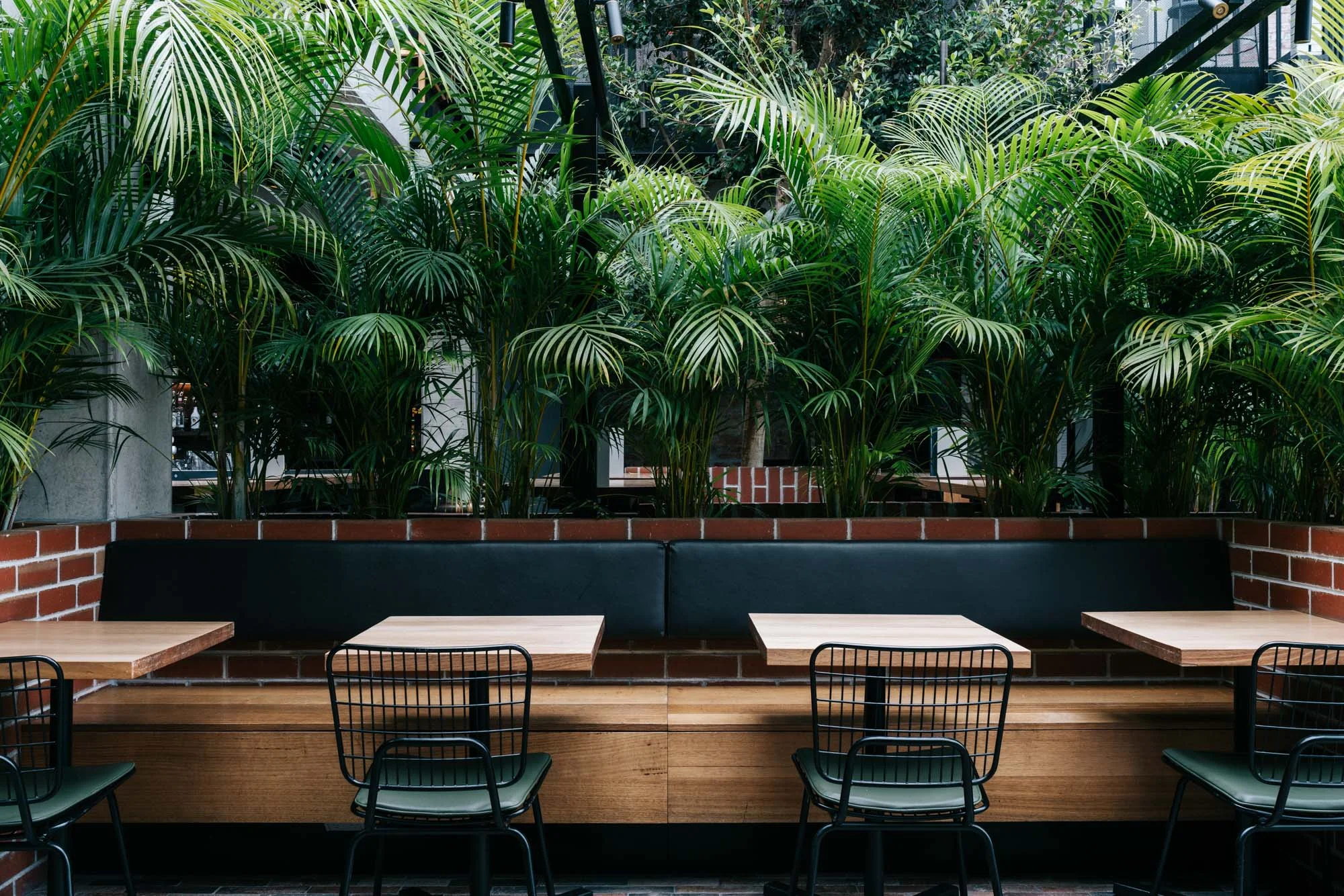 Ayus Botanical_low res-61.jpg