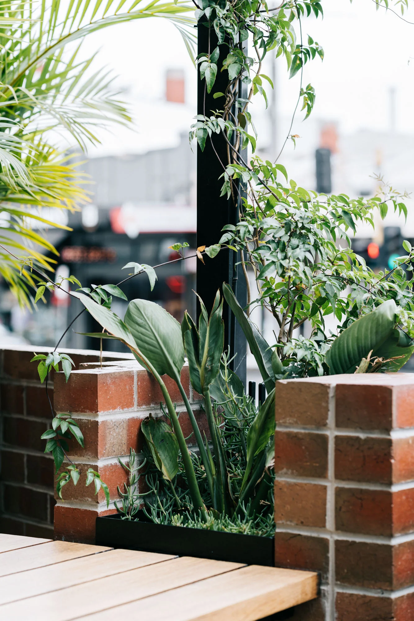 Ayus Botanical_low res-76.jpg